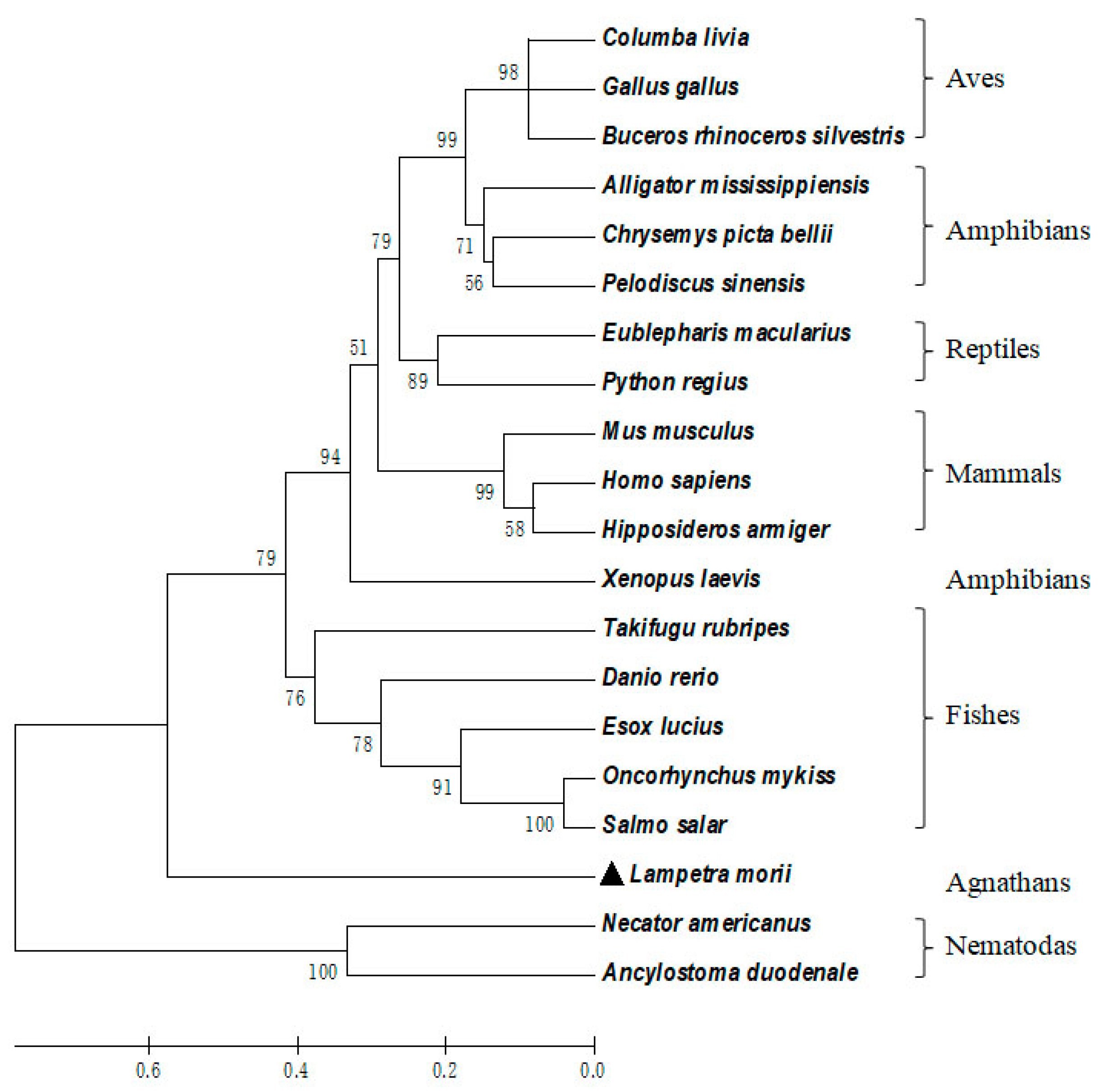 Marinedrugs 16 00477 g004