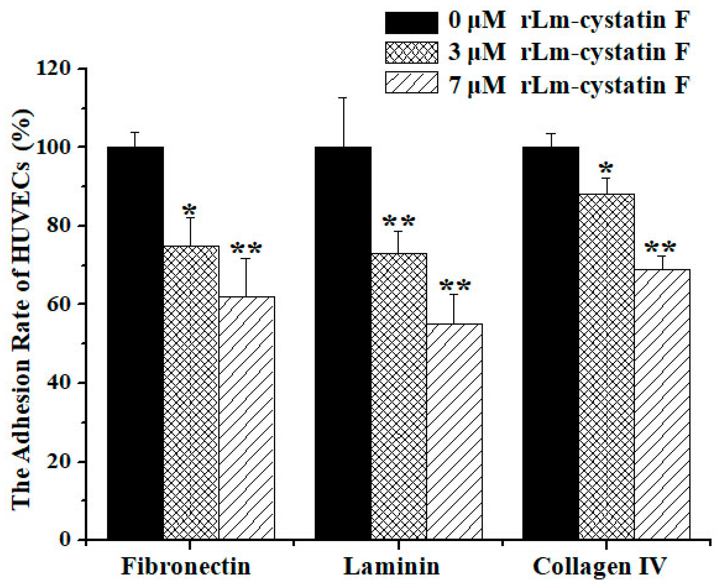 Marinedrugs 16 00477 g008