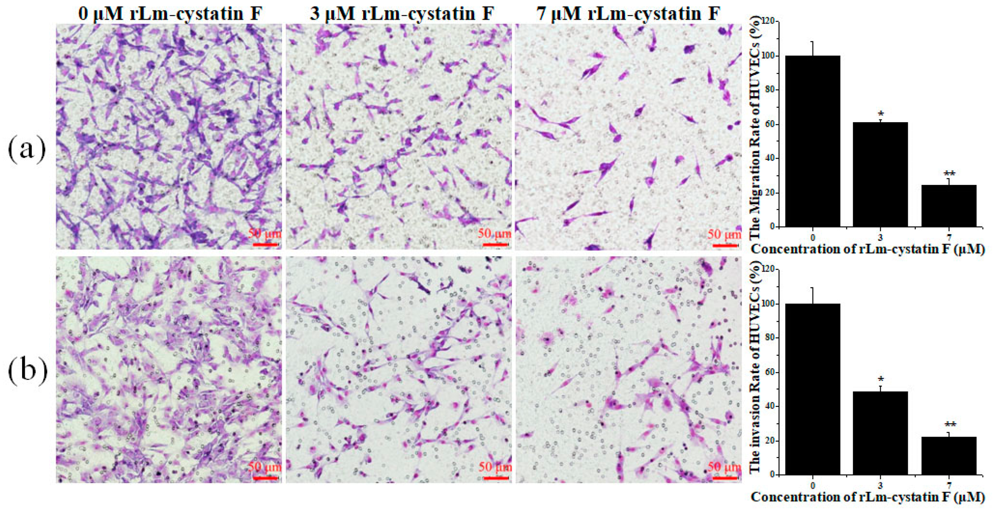 Marinedrugs 16 00477 g009