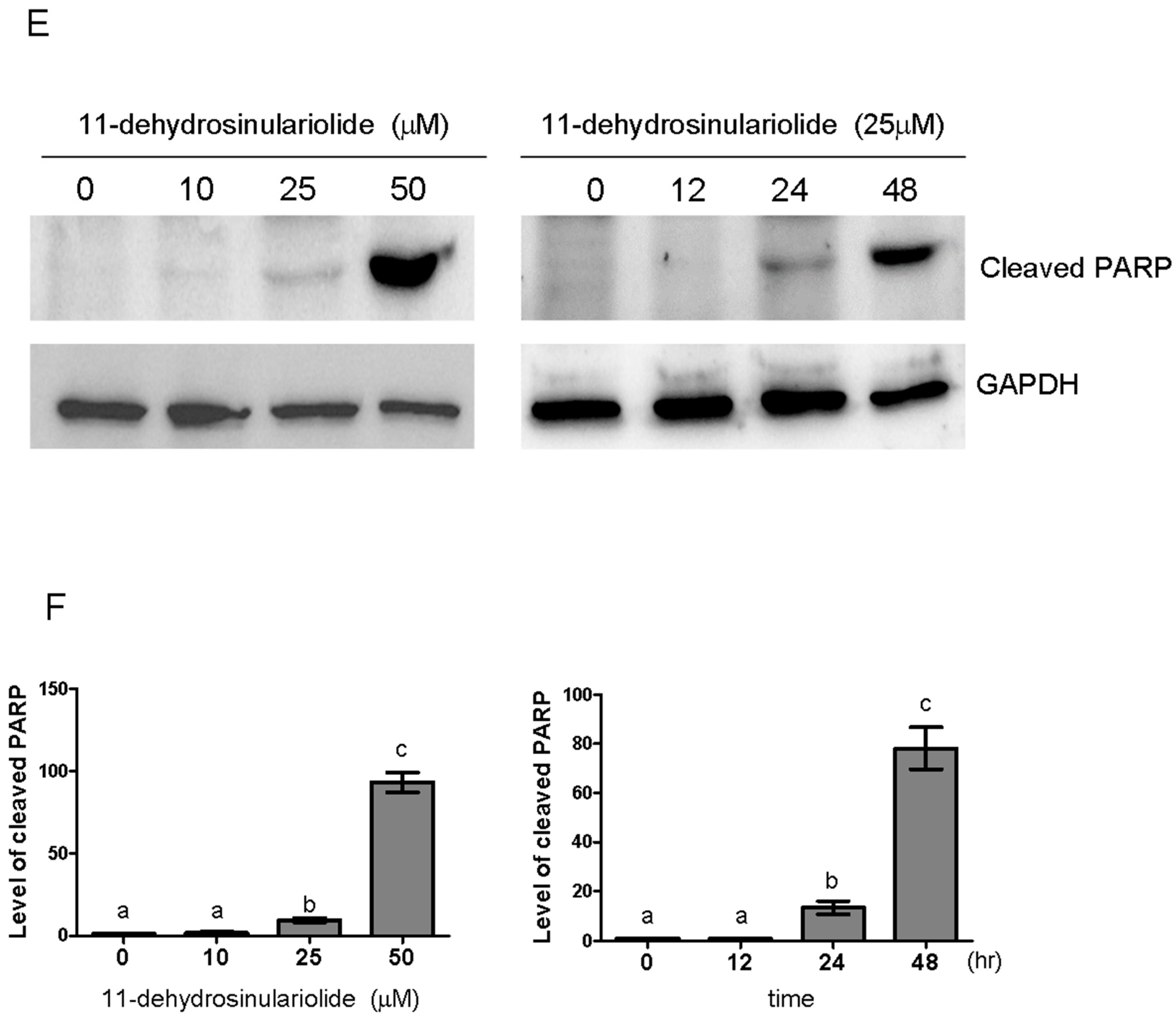 Marinedrugs 16 00479 g004b