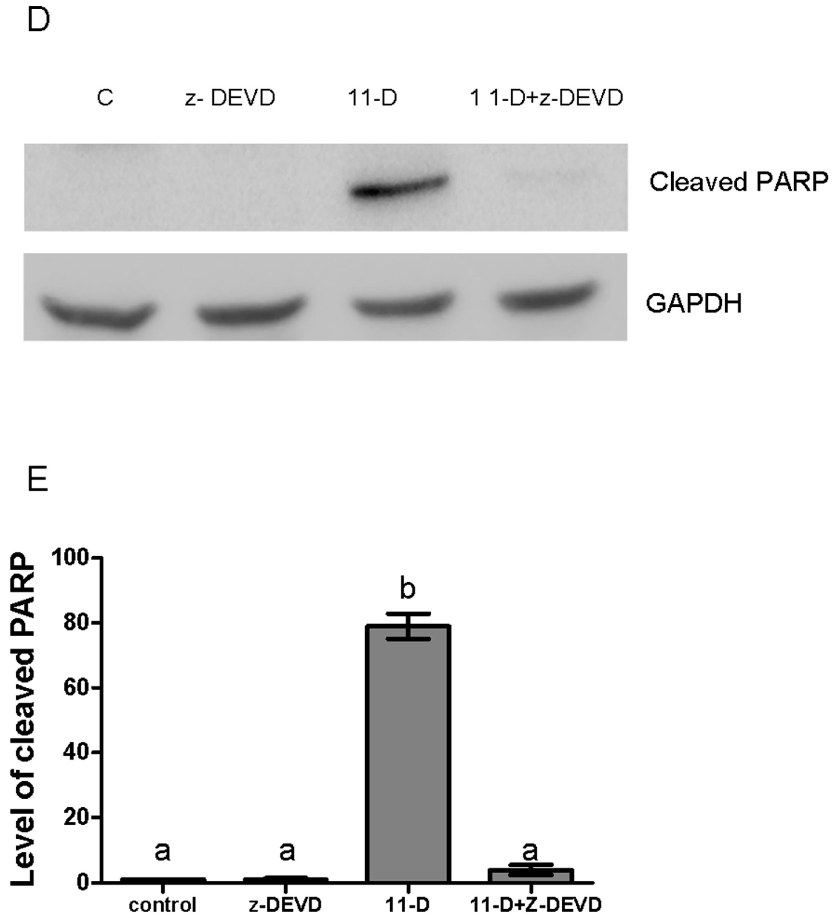 Marinedrugs 16 00479 g005c