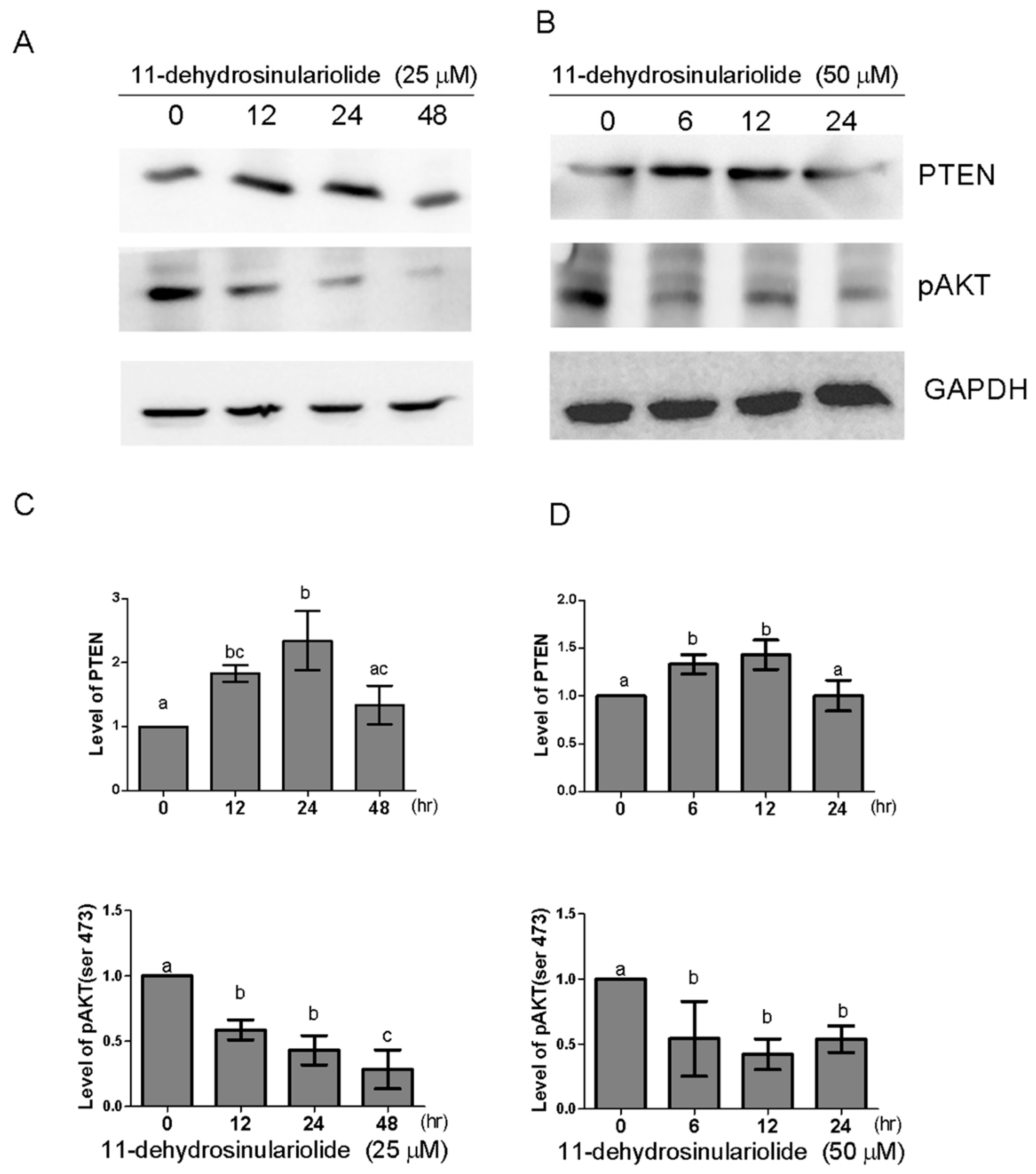 Marinedrugs 16 00479 g007