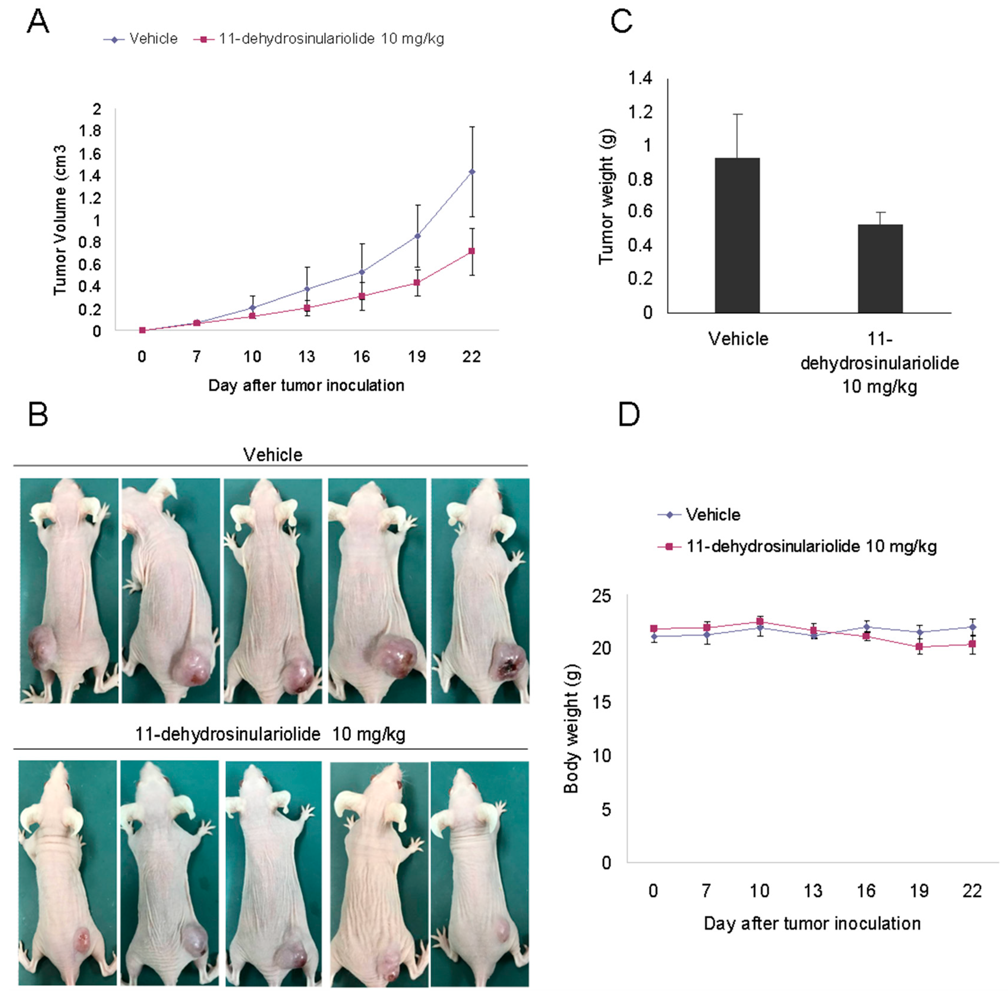 Marinedrugs 16 00479 g009