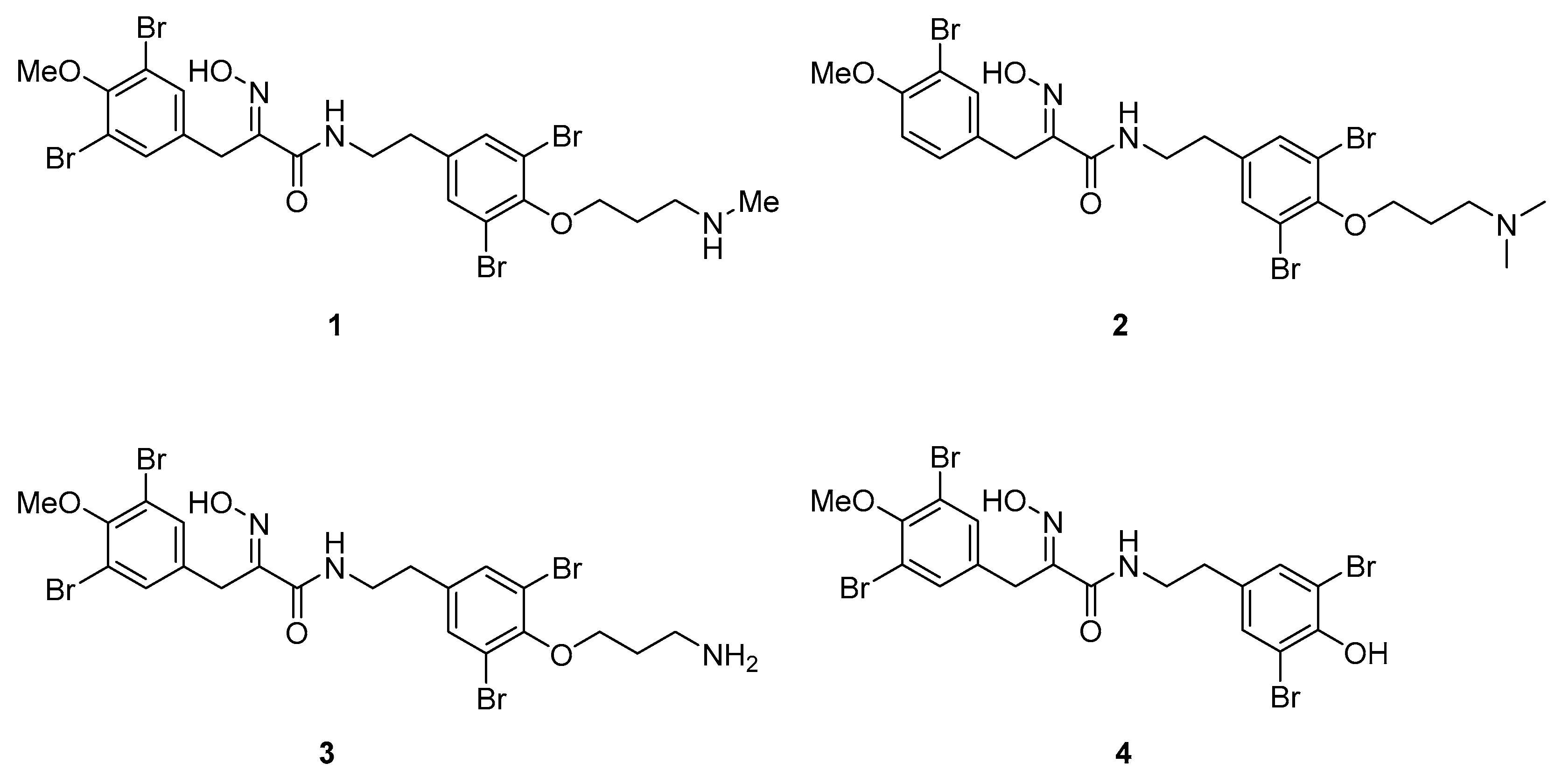 Marinedrugs 16 00481 g001