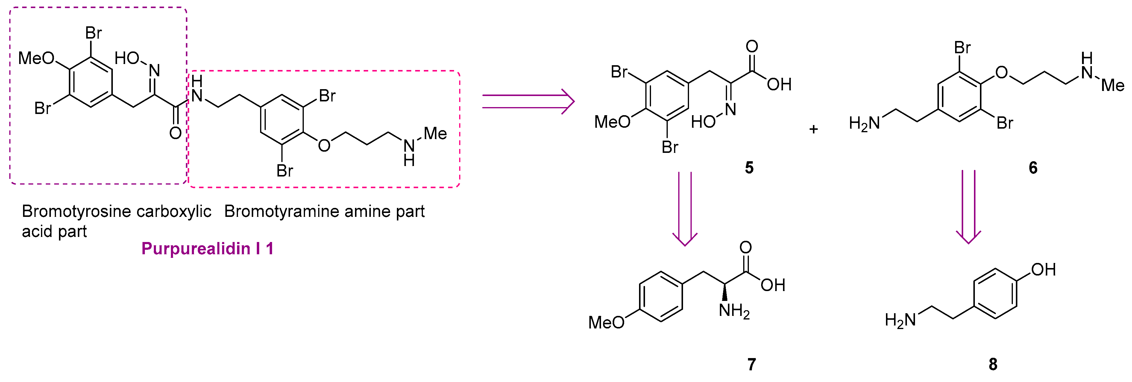 Marinedrugs 16 00481 sch001