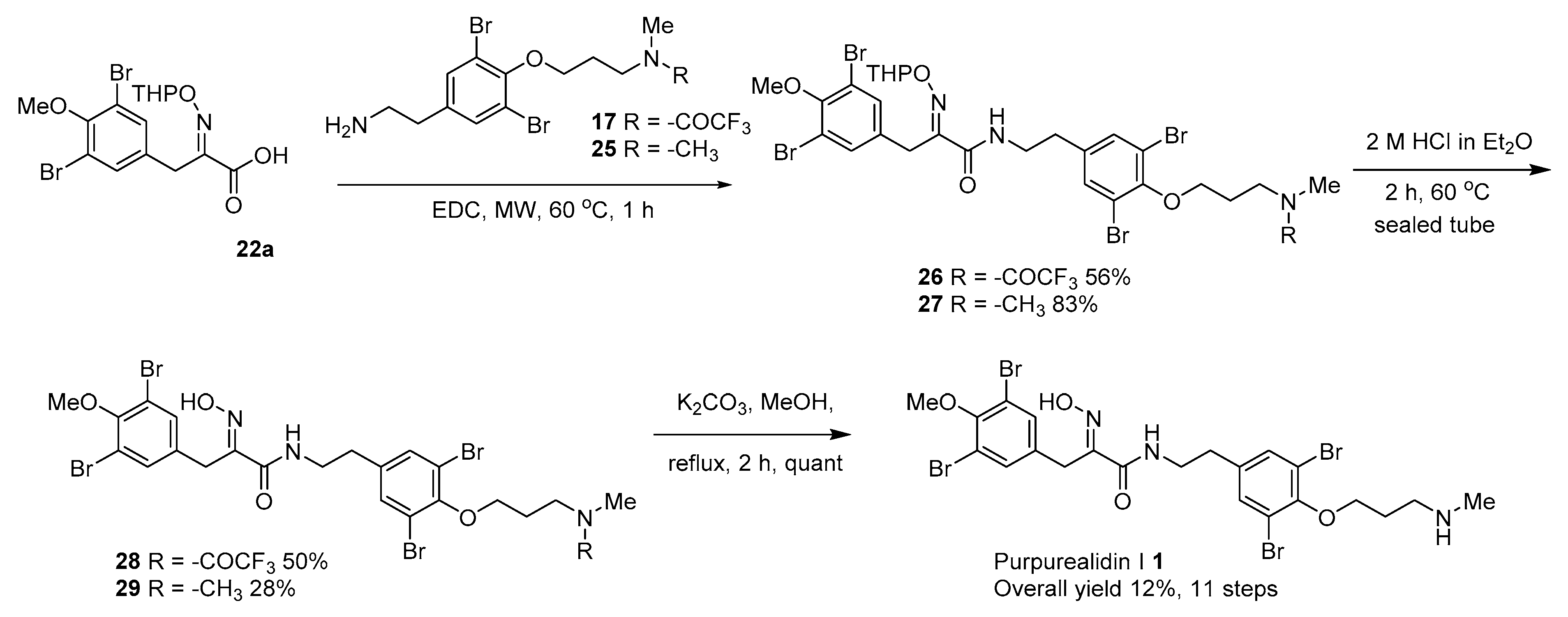 Marinedrugs 16 00481 sch006