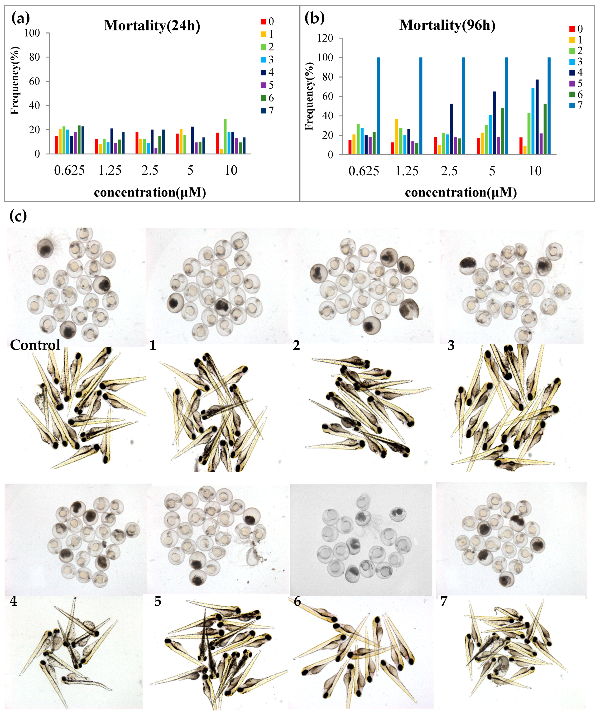 Marinedrugs 16 00483 g004
