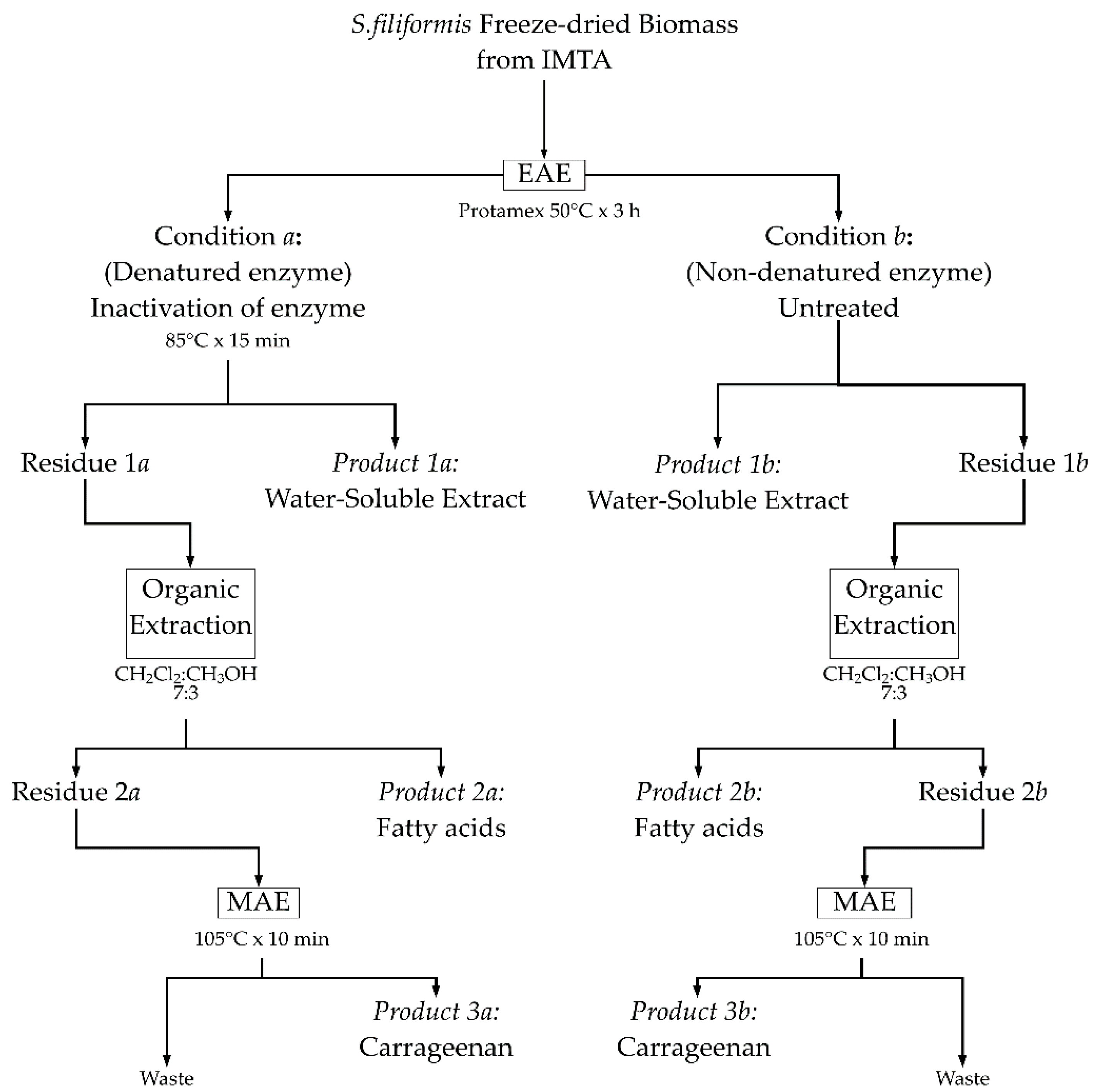 Marinedrugs 16 00487 g004