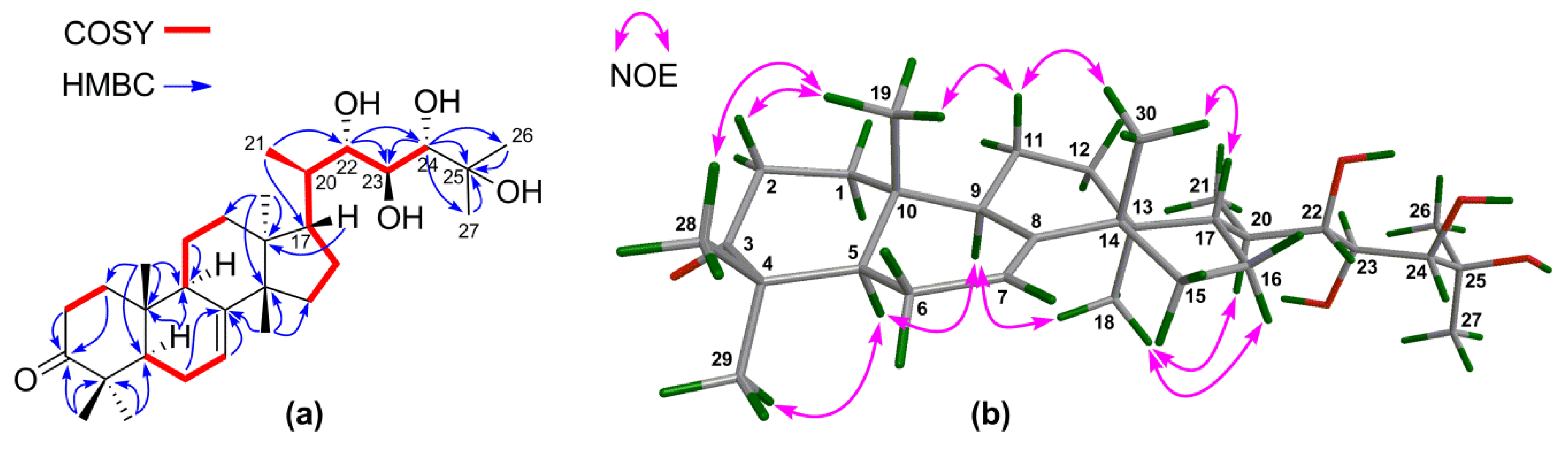 Marinedrugs 16 00488 g002 550