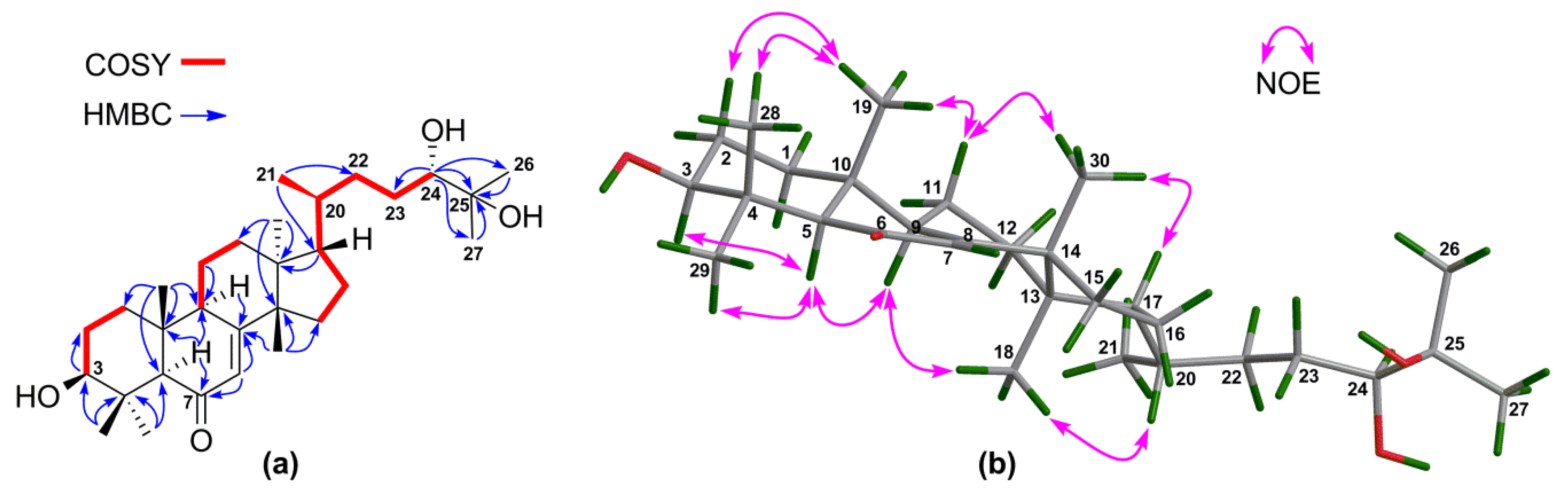 Marinedrugs 16 00488 g008 550