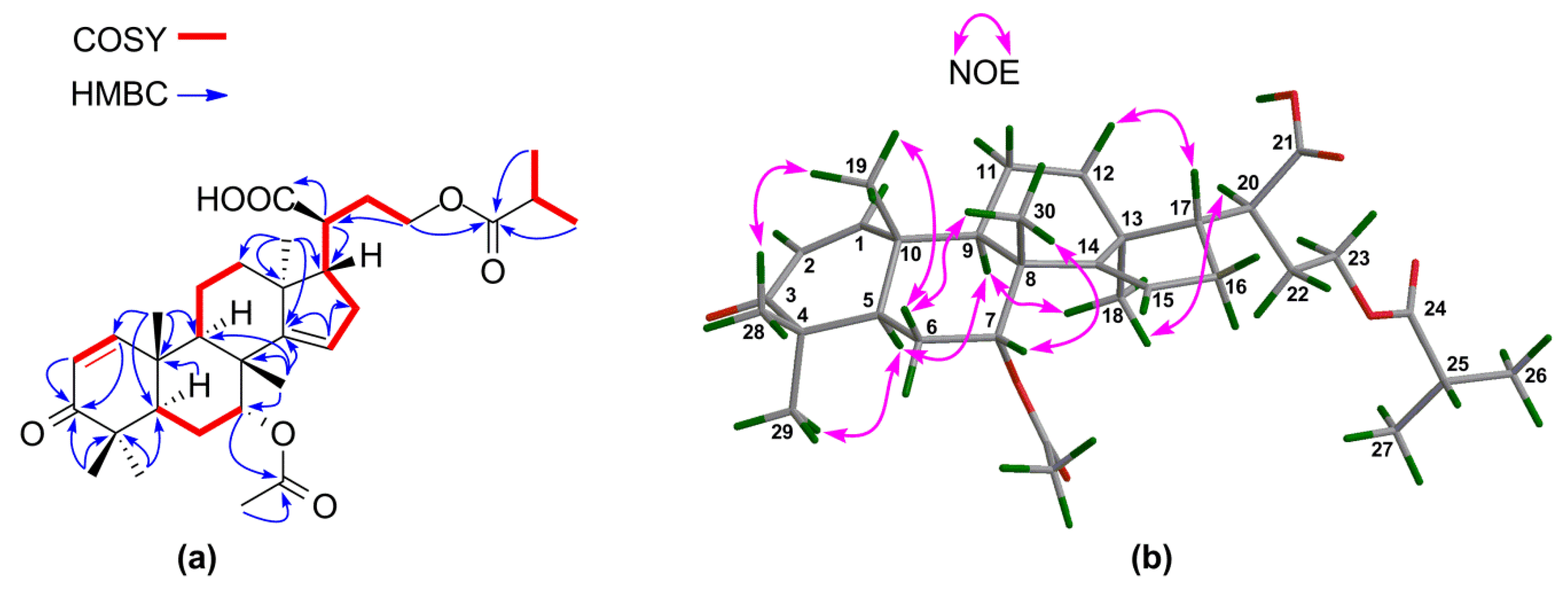 Marinedrugs 16 00488 g011 550