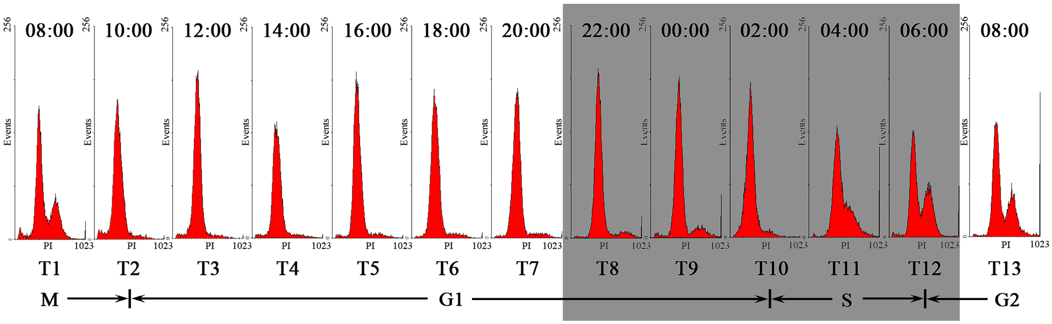 iTRAQ-Based Quantitative Proteomic Analysis of a Toxigenic