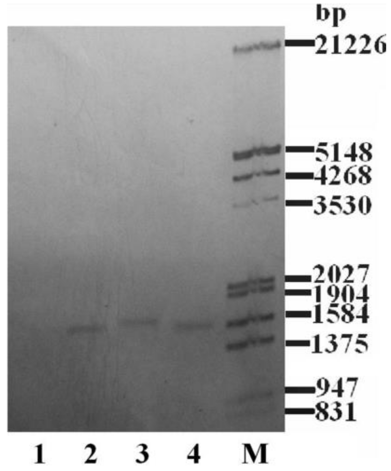 Marinedrugs 16 00493 g002 Marinedrugs 16 00493 g002