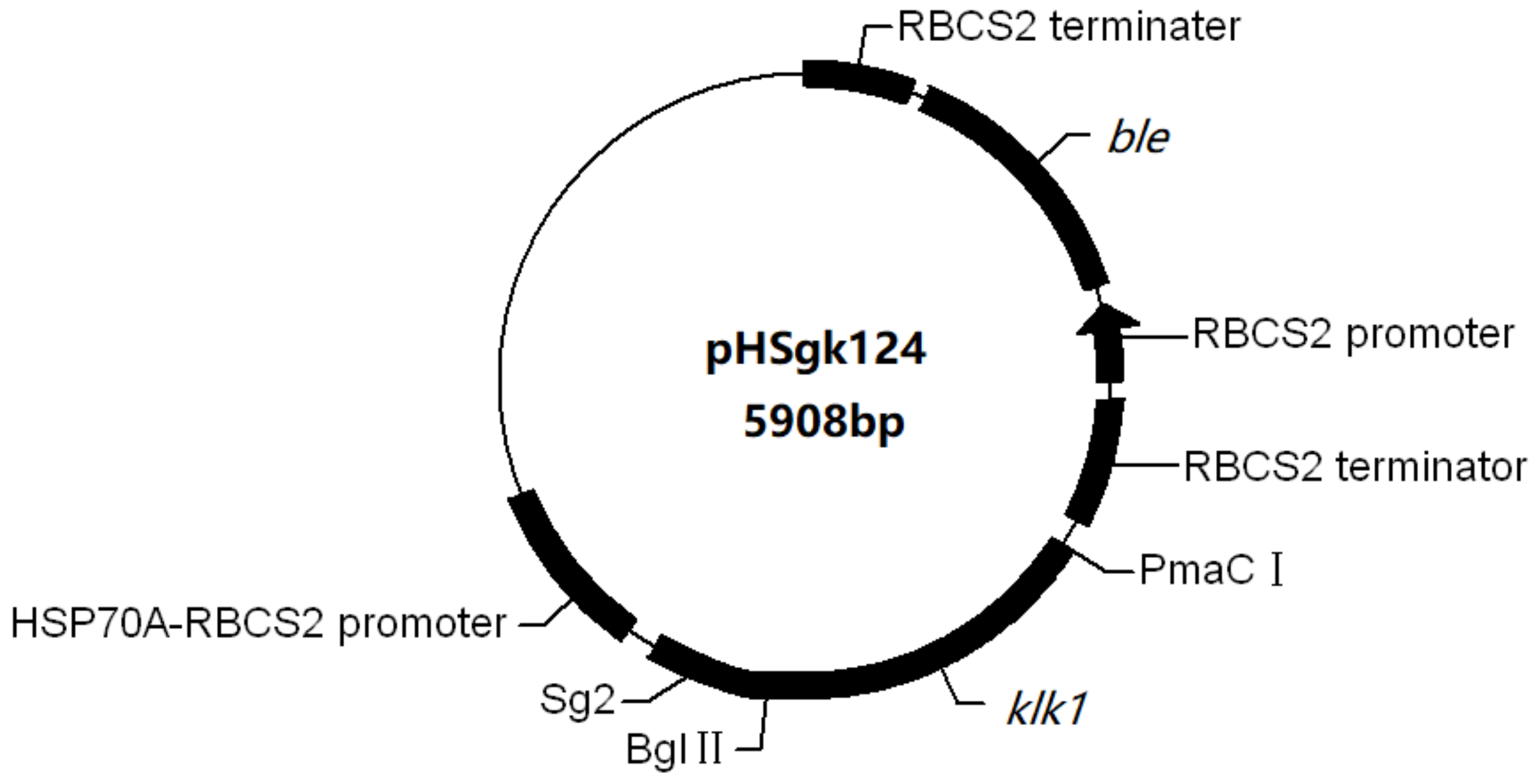 Marinedrugs 16 00493 g007 Marinedrugs 16 00493 g007