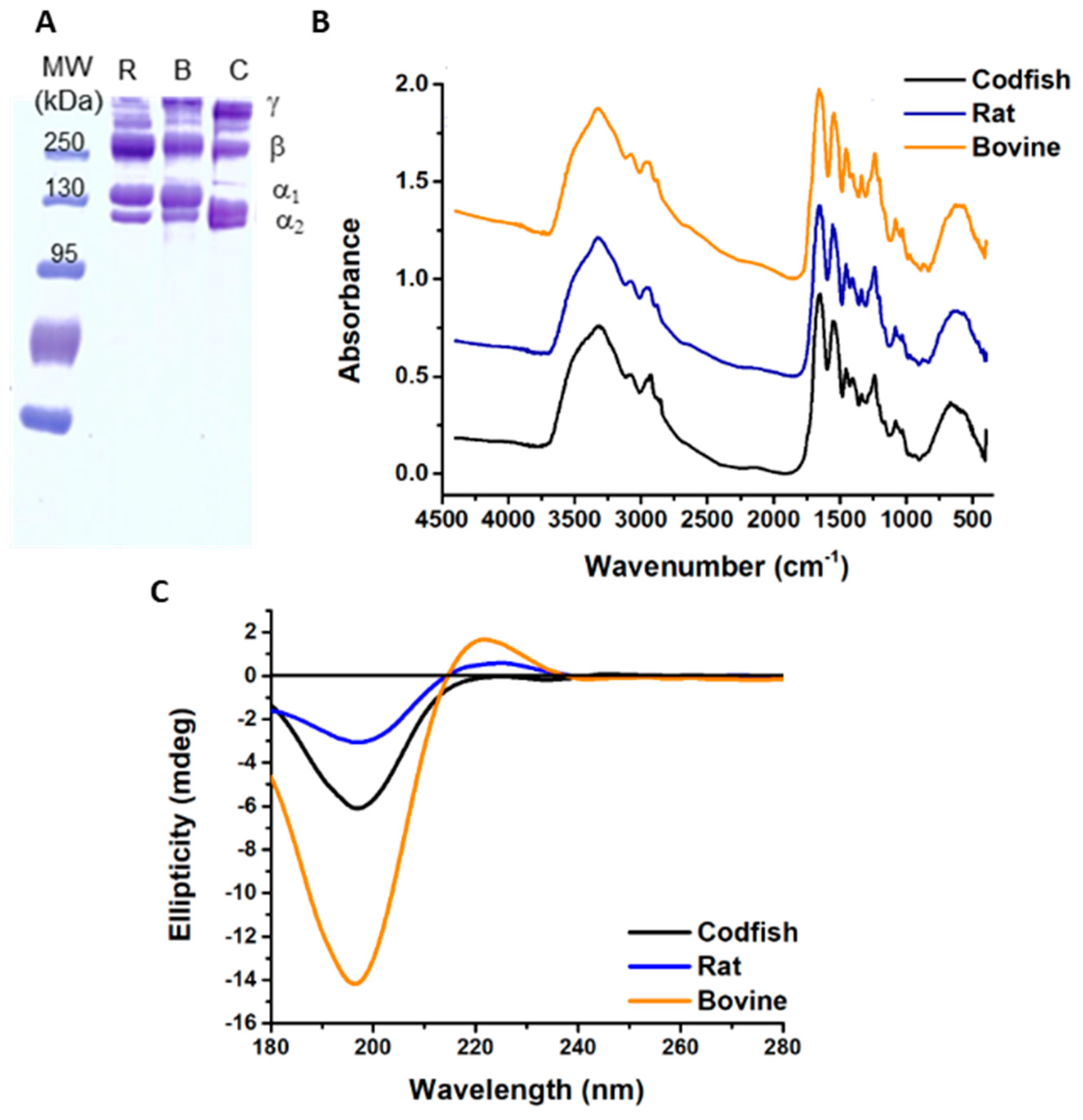 Marinedrugs 16 00495 g001 Marinedrugs 16 00495 g001