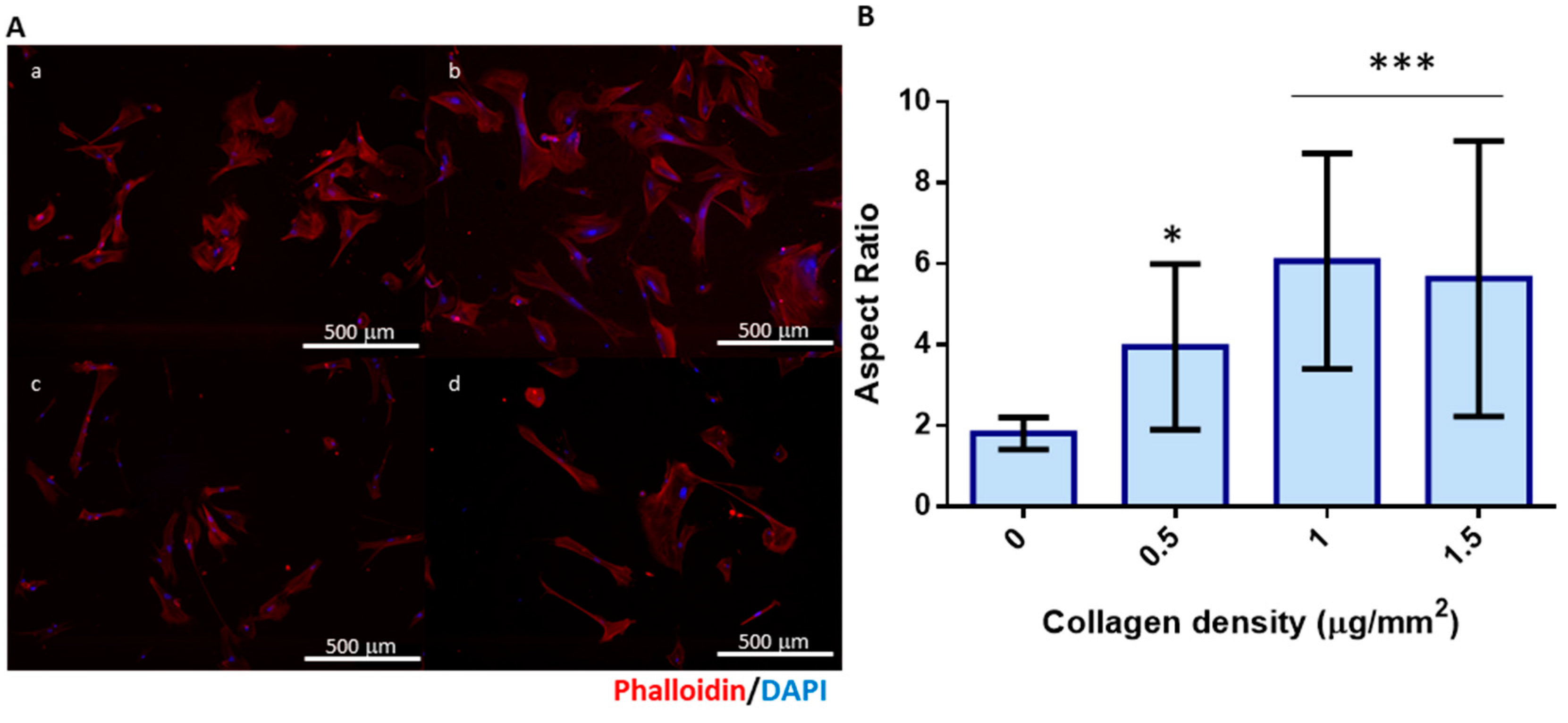 Marinedrugs 16 00495 g003 Marinedrugs 16 00495 g003