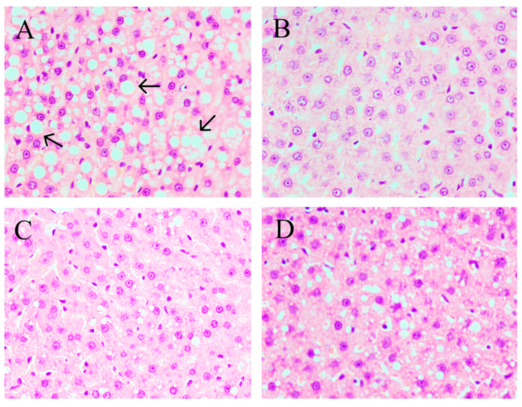 Marinedrugs 16 00498 g002