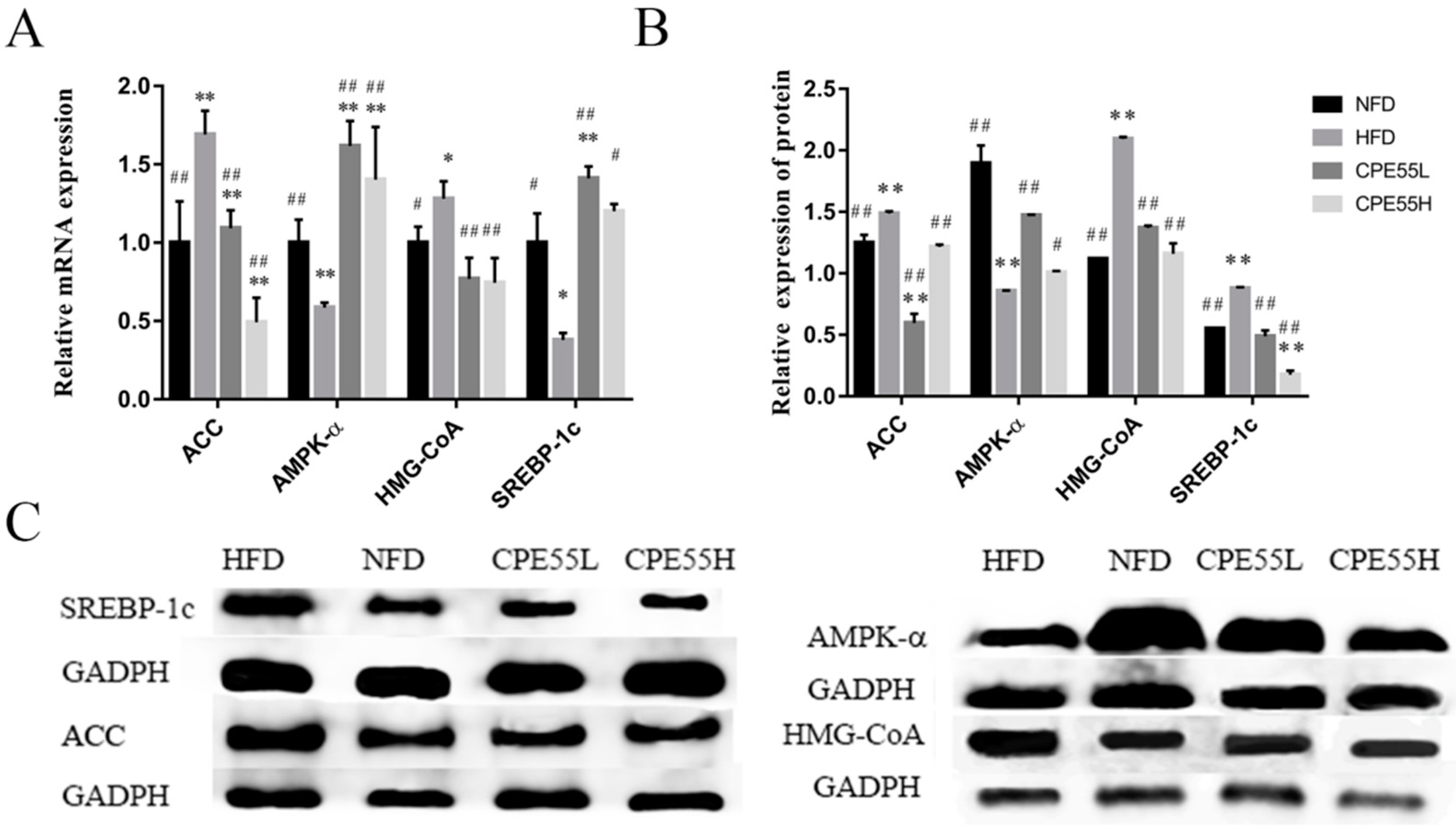 Marinedrugs 16 00498 g004