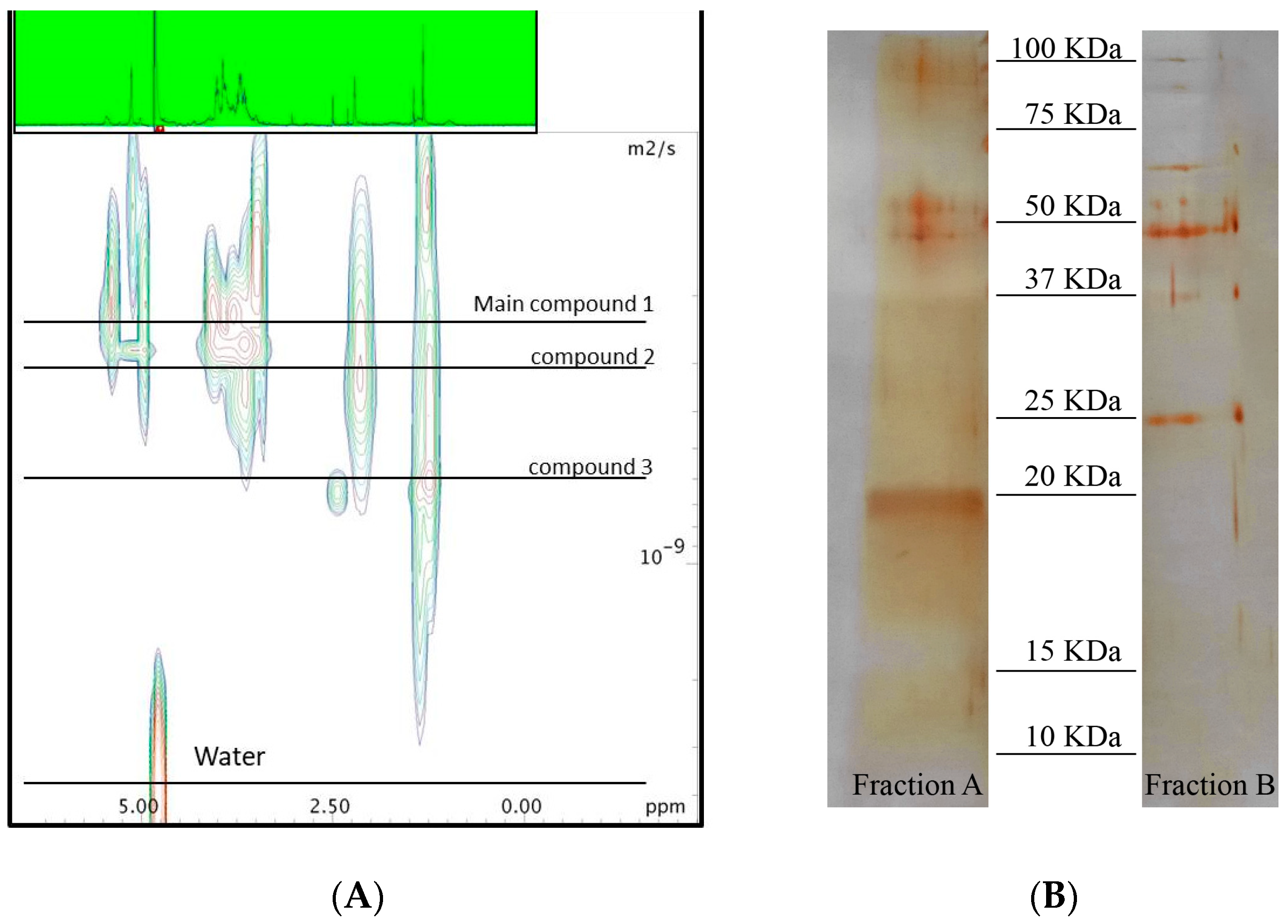 Marinedrugs 16 00502 g001