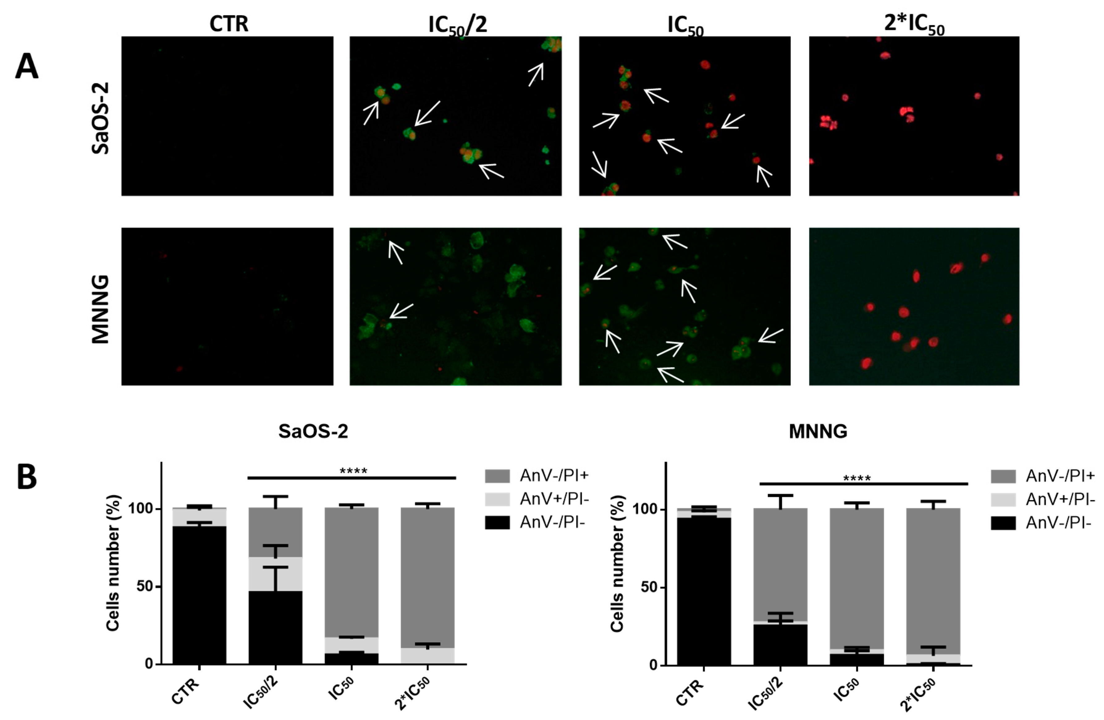 Marinedrugs 16 00504 g005 Marinedrugs 16 00504 g005