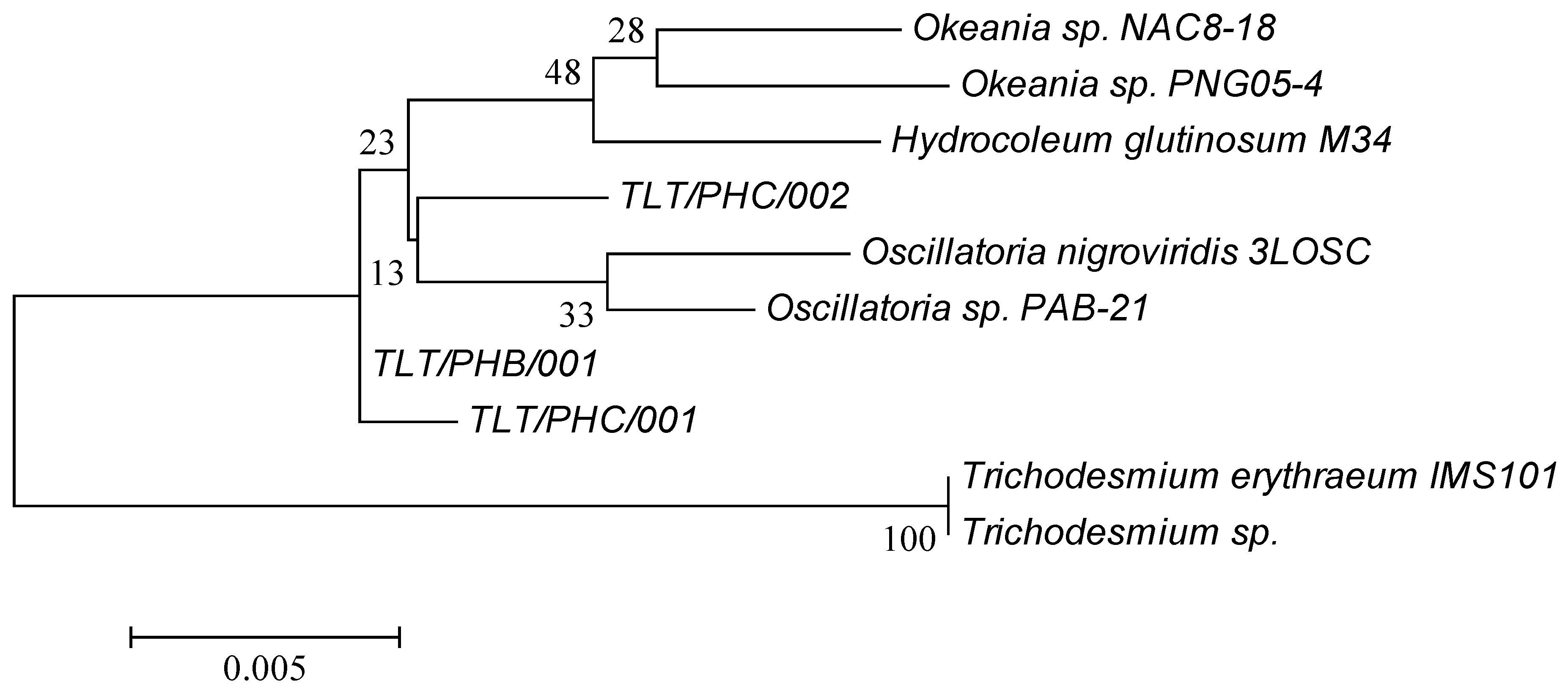 Marinedrugs 16 00505 g001 Marinedrugs 16 00505 g001