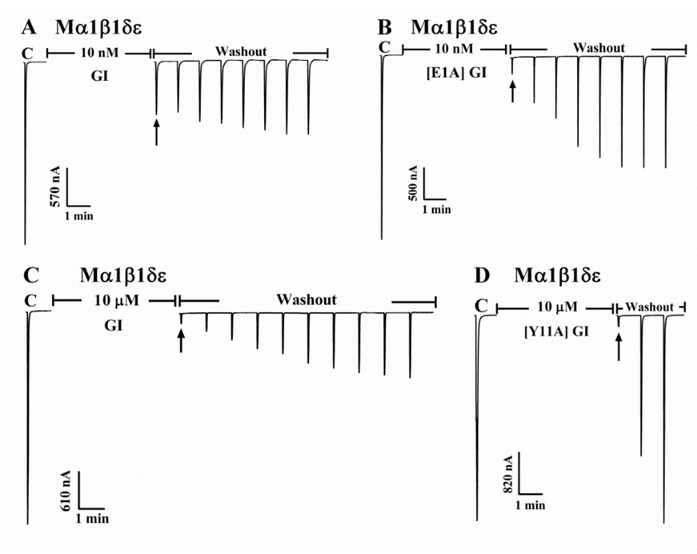 Marinedrugs 16 00507 g004
