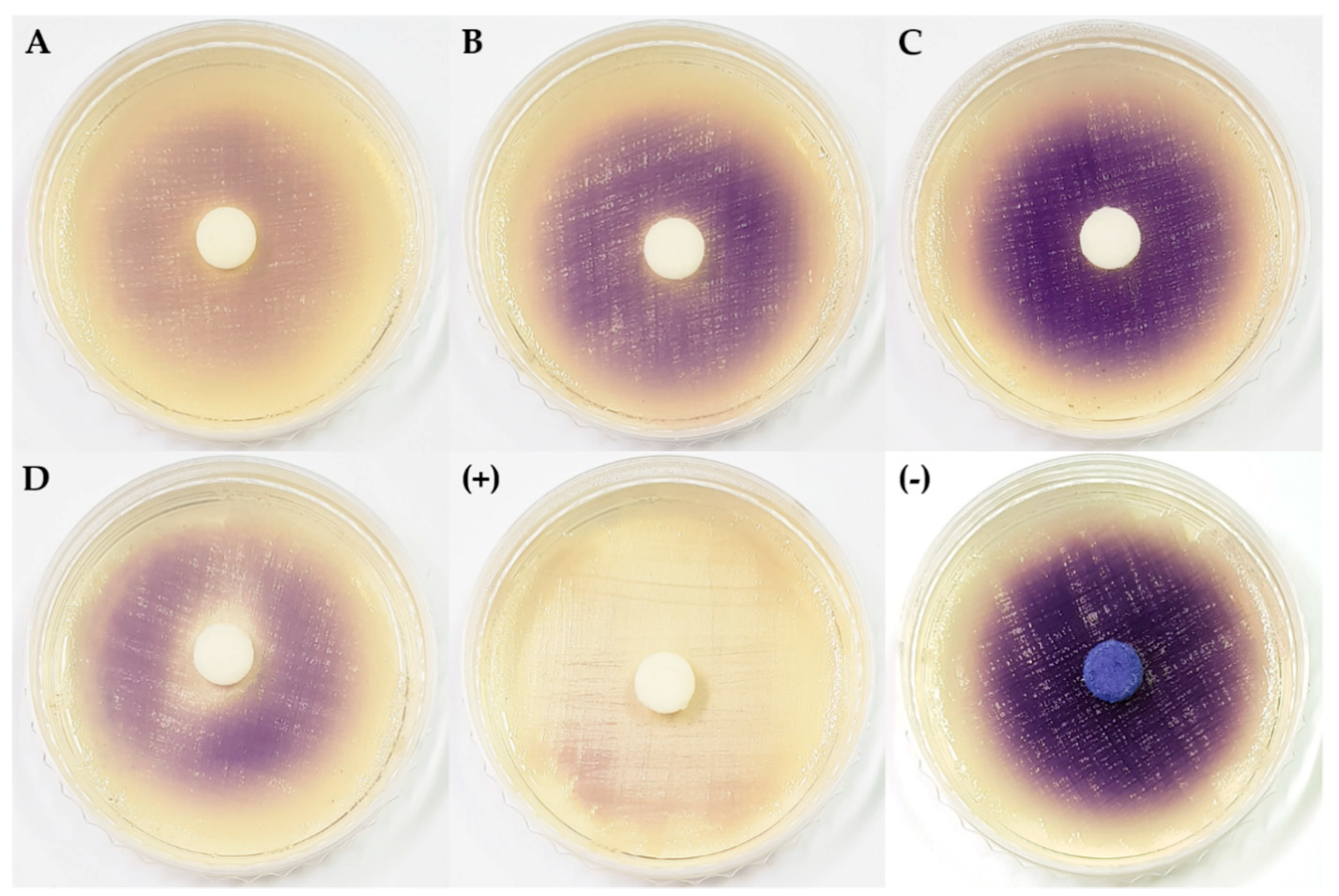 Marinedrugs 16 00508 g002 Marinedrugs 16 00508 g002