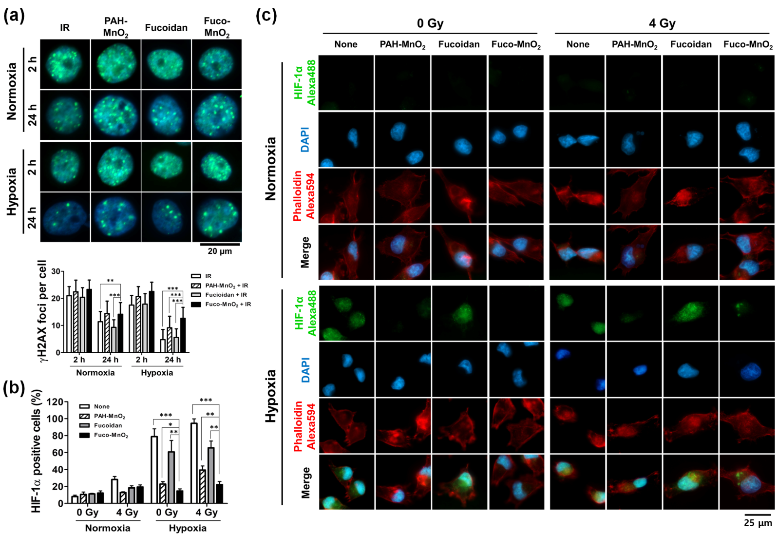 Marinedrugs 16 00510 g004 Marinedrugs 16 00510 g004