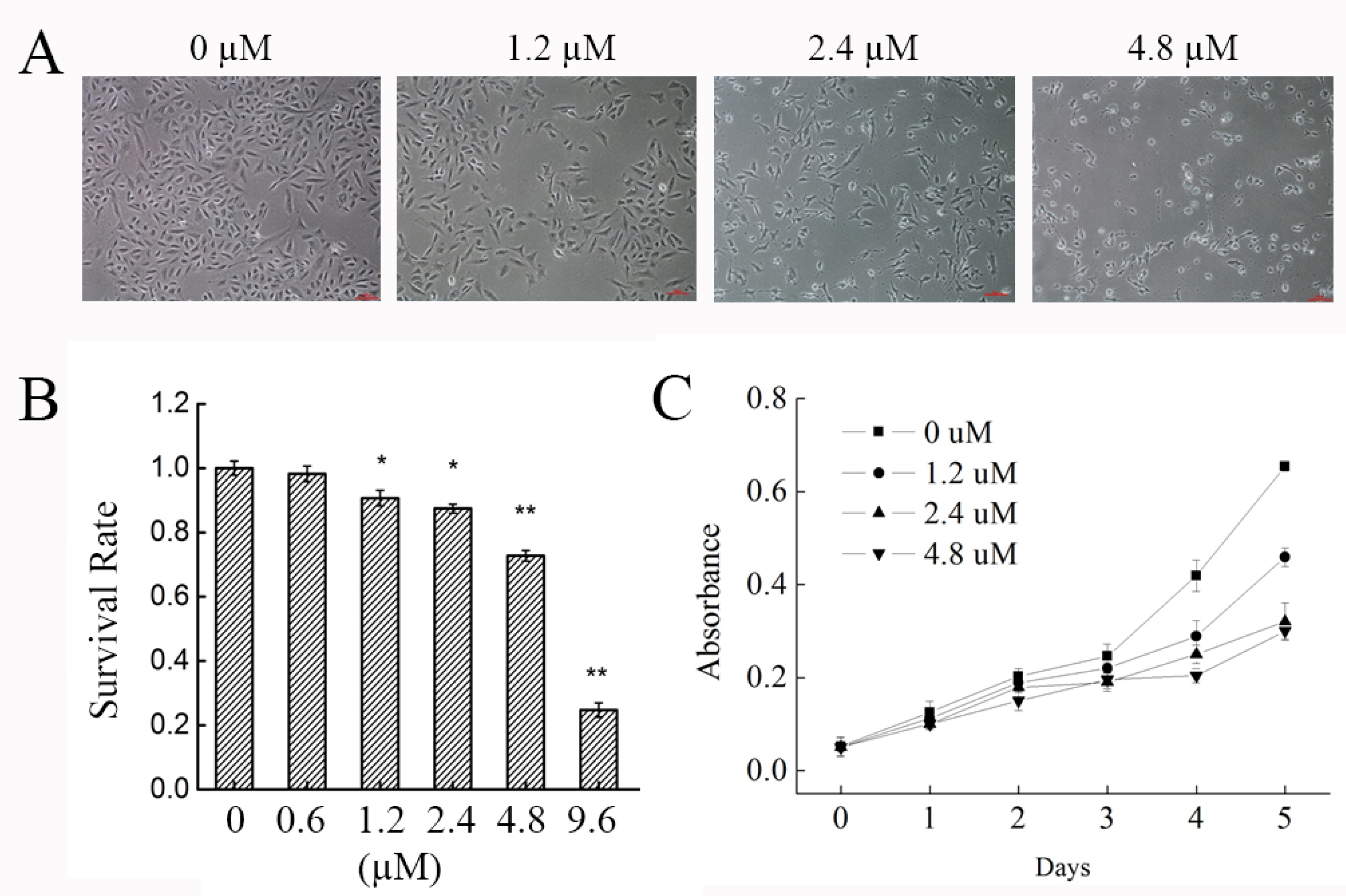 Marinedrugs 16 00511 g001 Marinedrugs 16 00511 g001