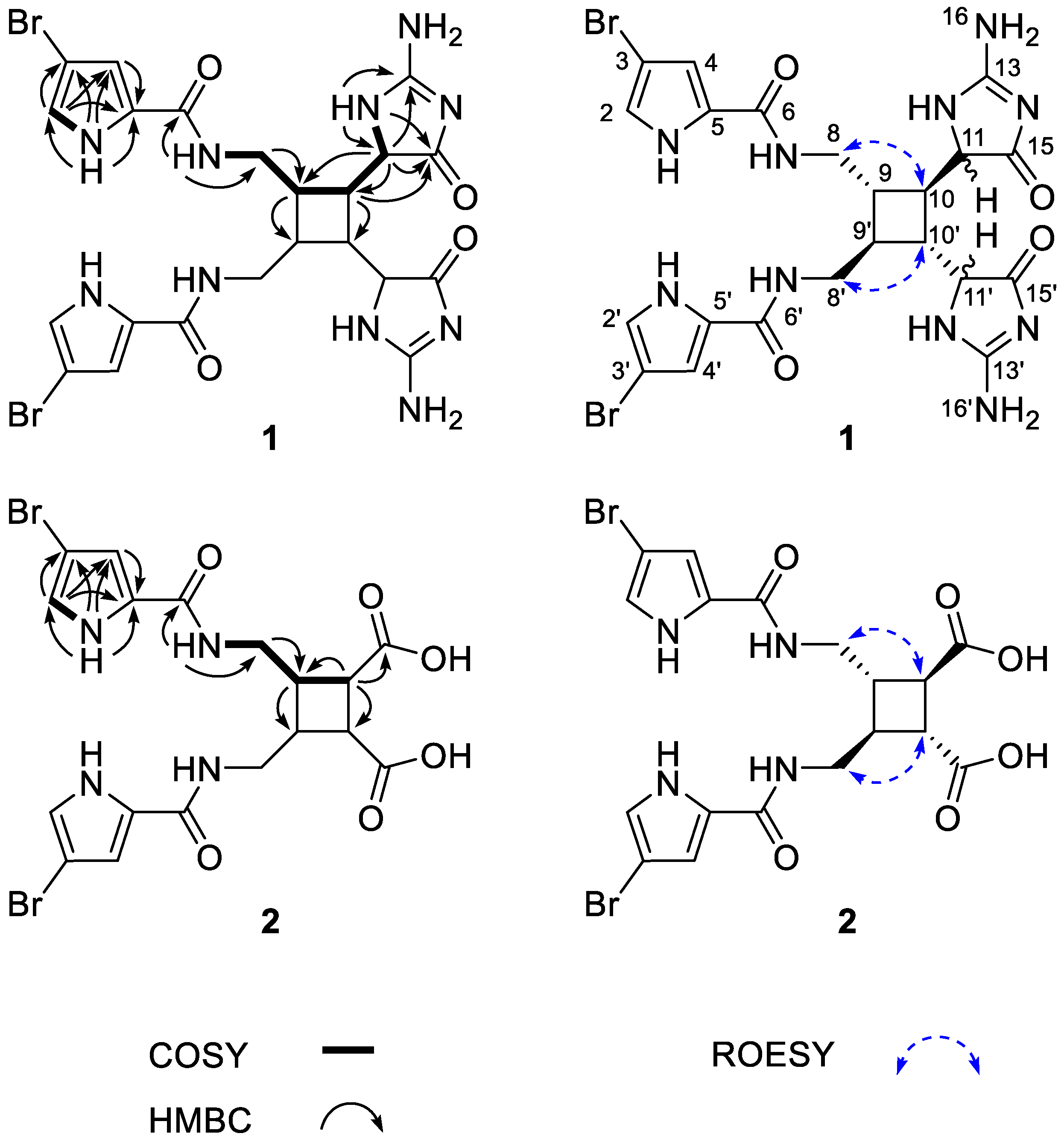 Marinedrugs 16 00513 g002