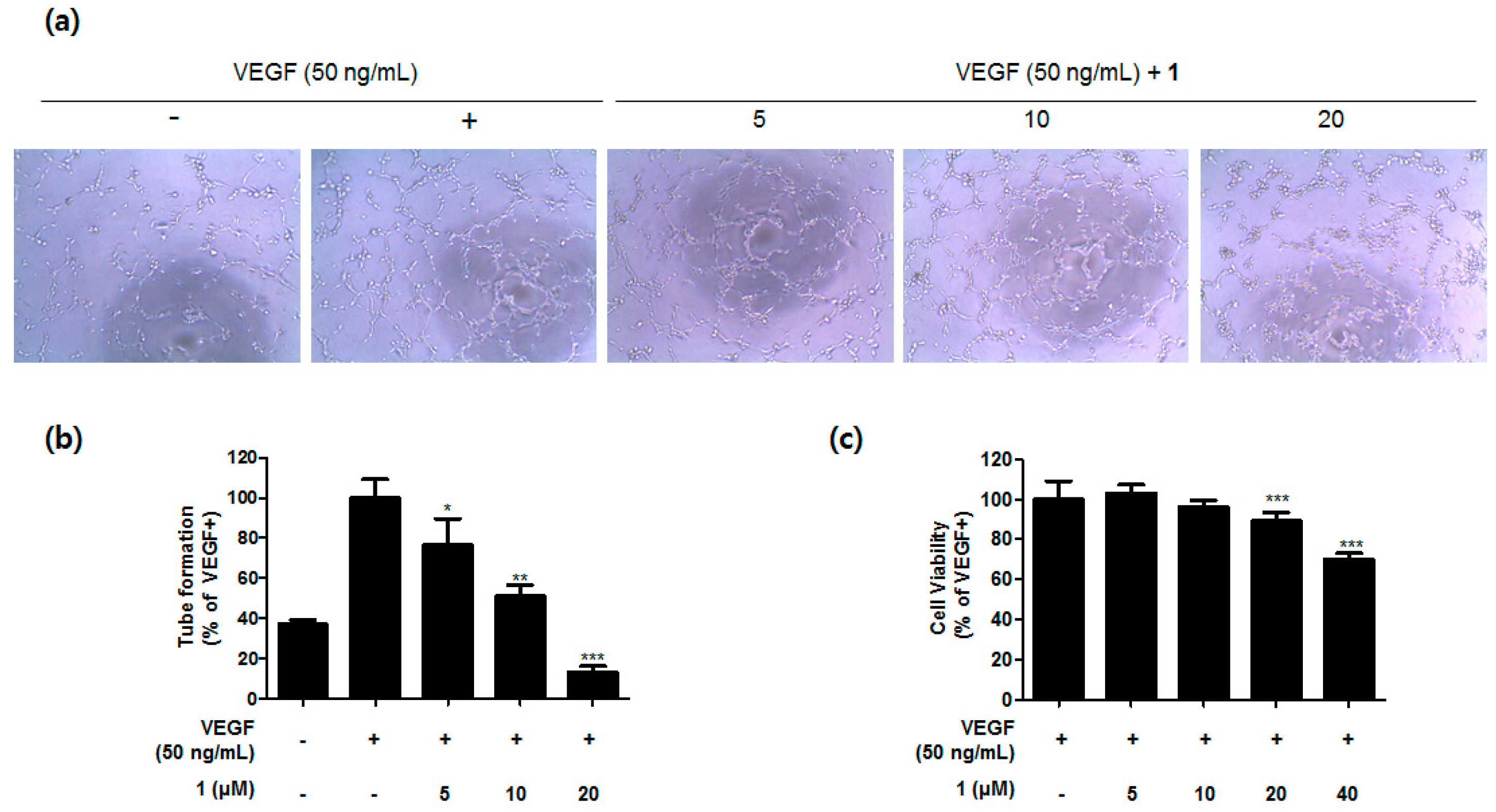 Marinedrugs 16 00513 g004