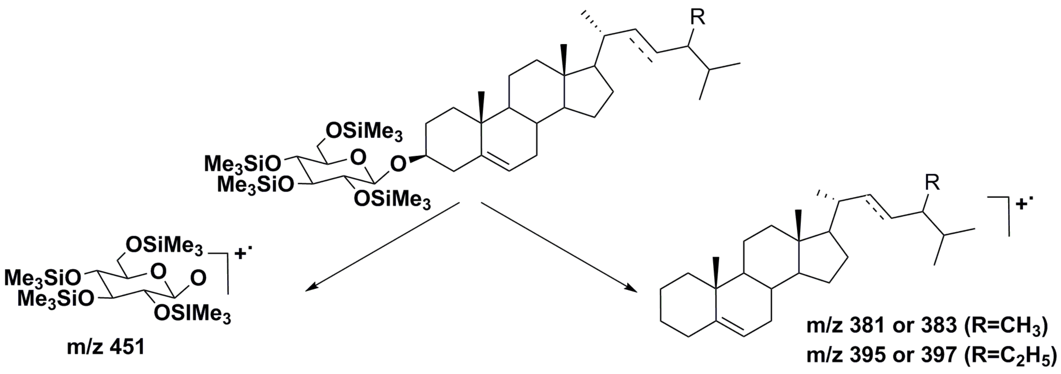 Marinedrugs 16 00514 g004