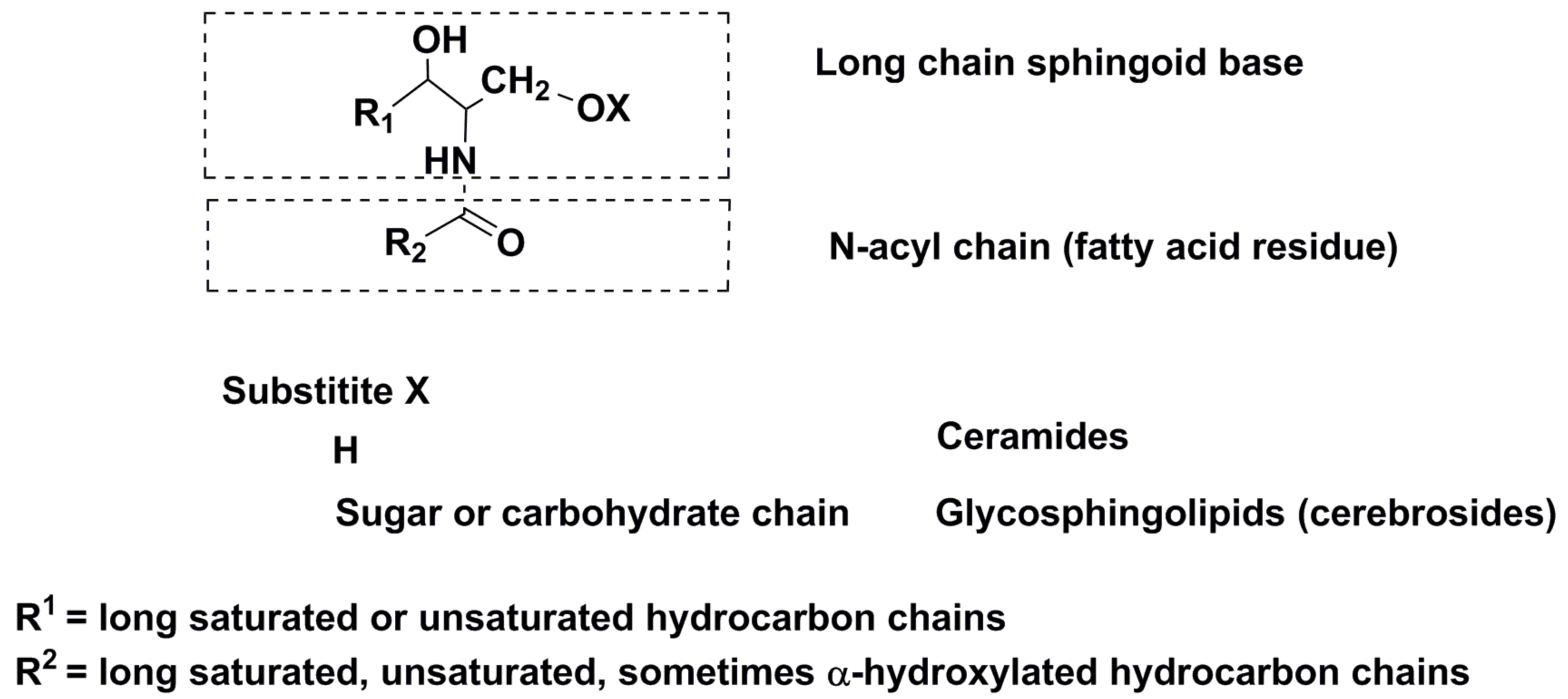 Marinedrugs 16 00514 g007