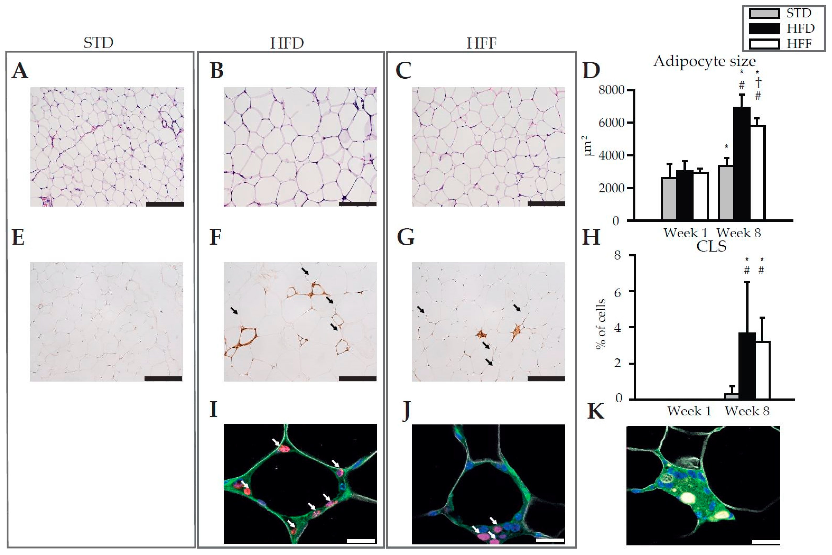 Marinedrugs 16 00515 g001 Marinedrugs 16 00515 g001