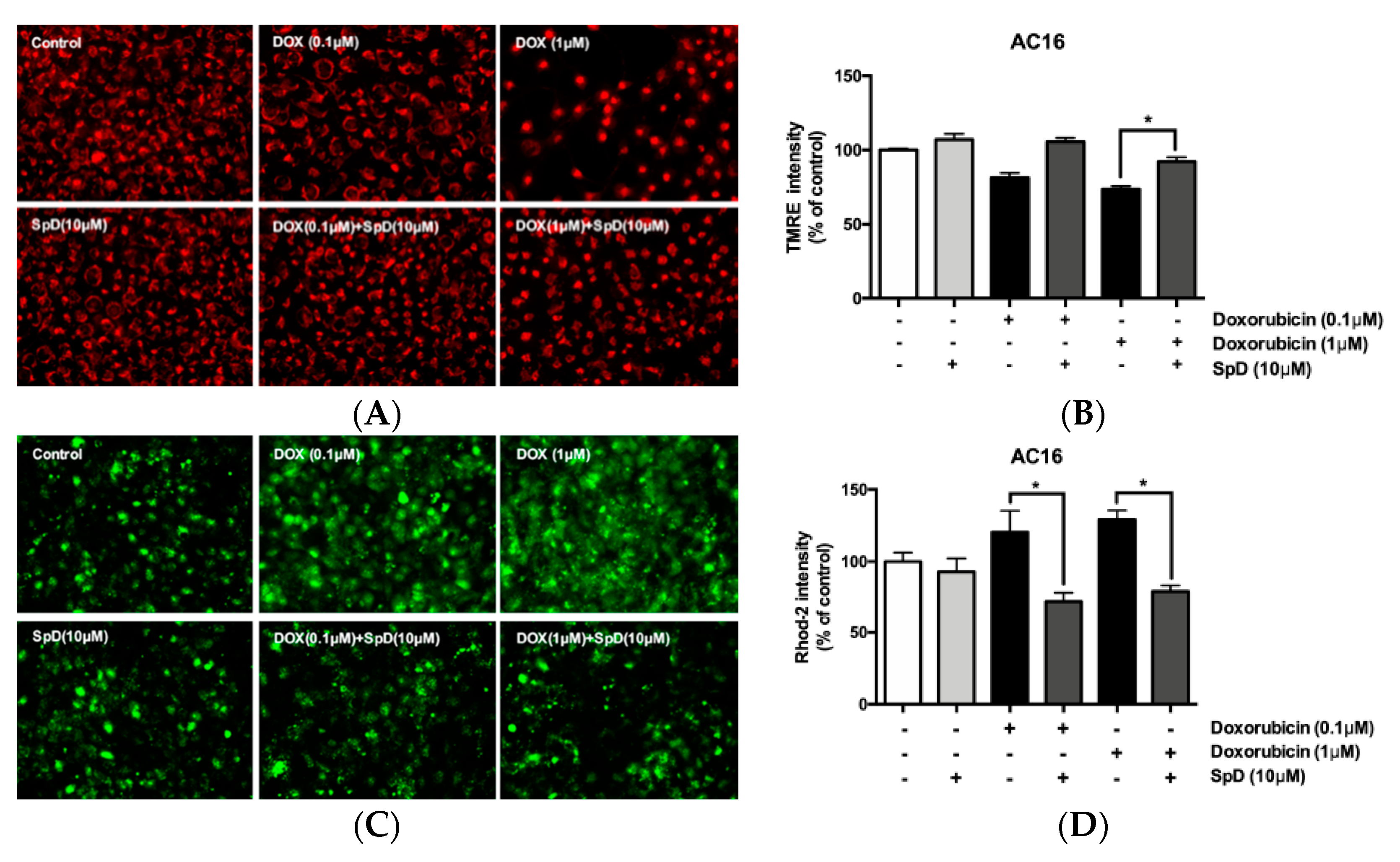 Marinedrugs 17 00002 g009 Marinedrugs 17 00002 g009
