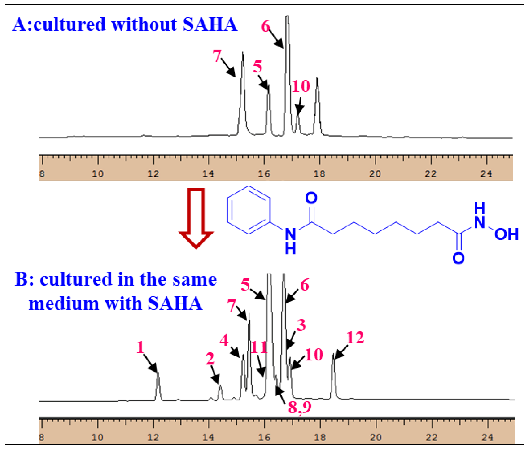 Marinedrugs 17 00006 g007