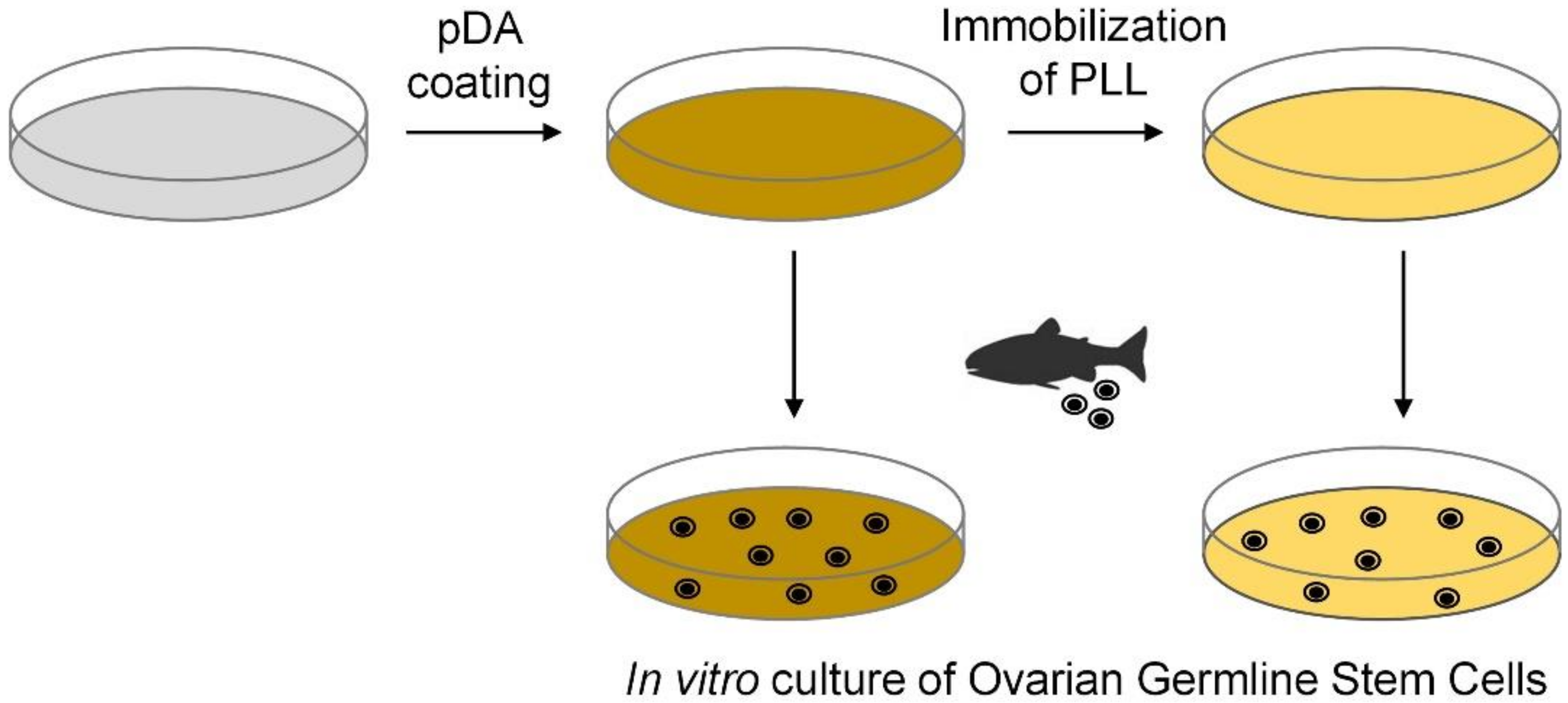 Marinedrugs 17 00011 g001 Marinedrugs 17 00011 g001