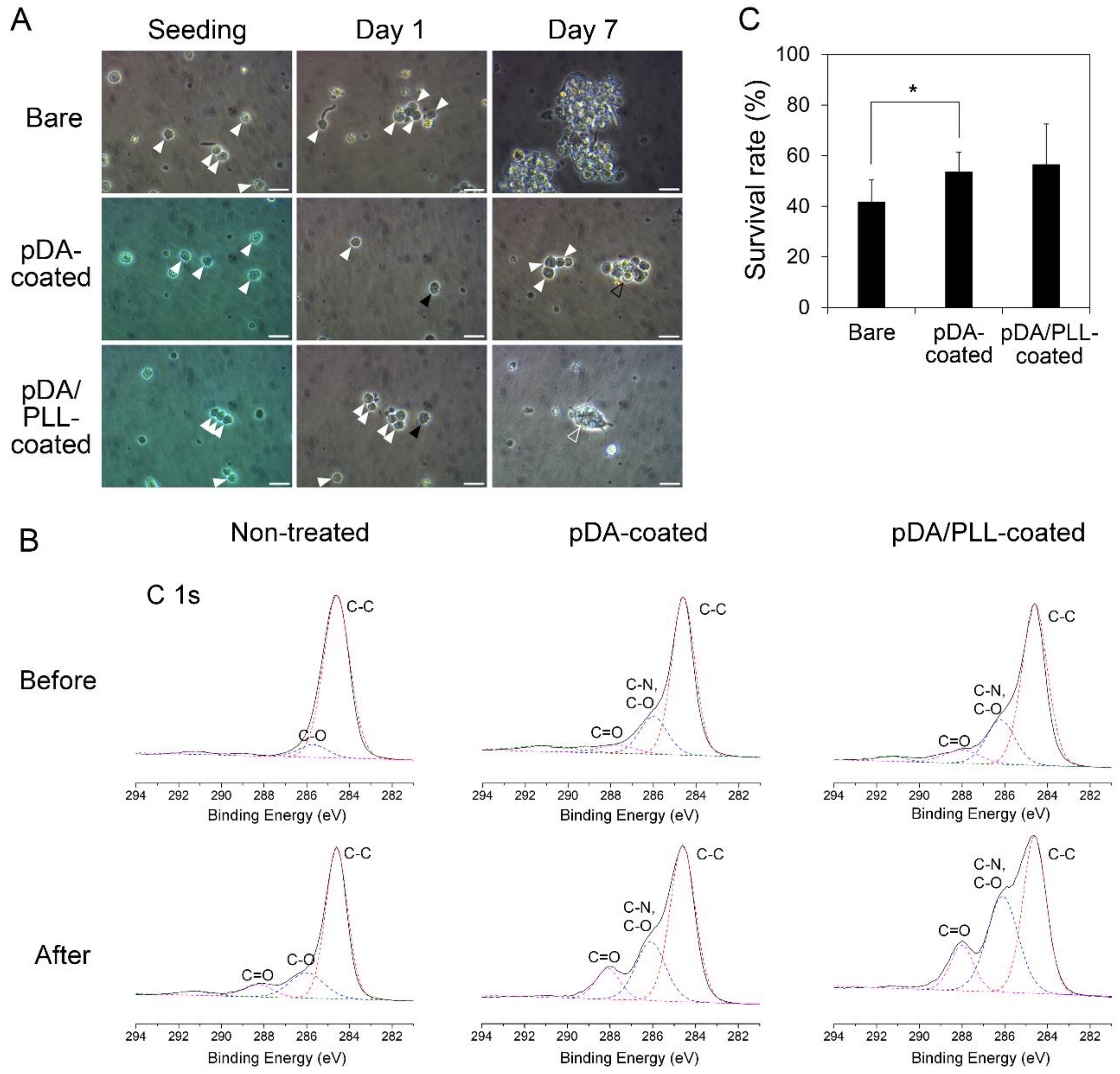 Marinedrugs 17 00011 g004 Marinedrugs 17 00011 g004