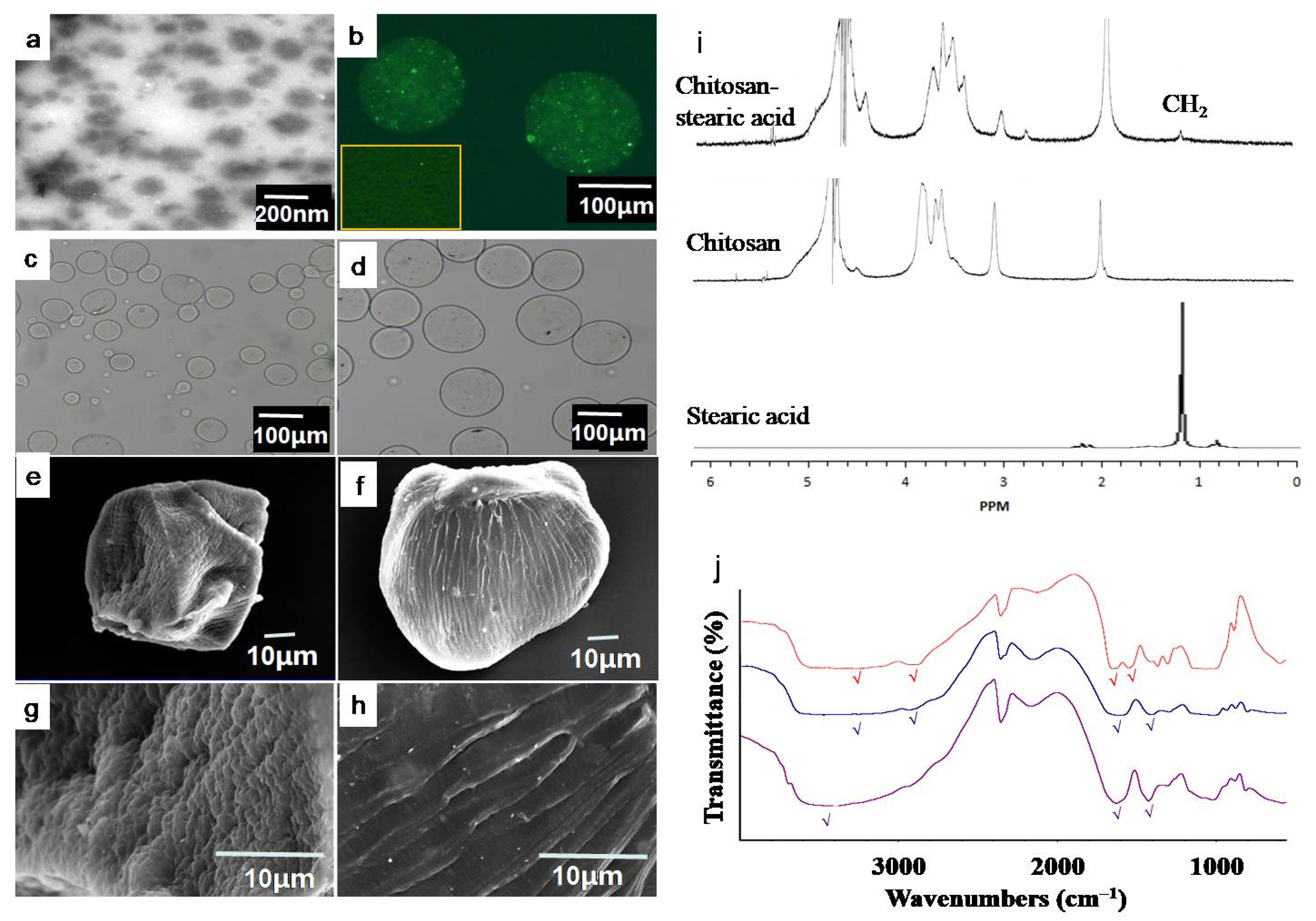 Marinedrugs 17 00015 g002