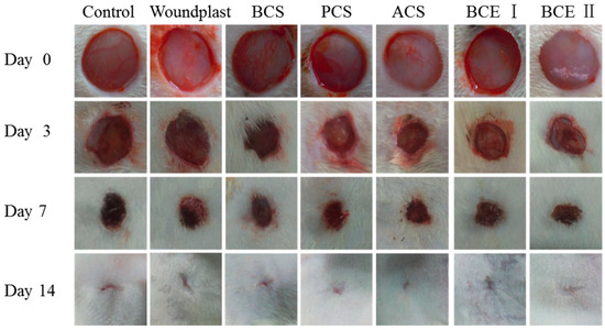 Marine Drugs | Free Full-Text | Fish Collagen Surgical