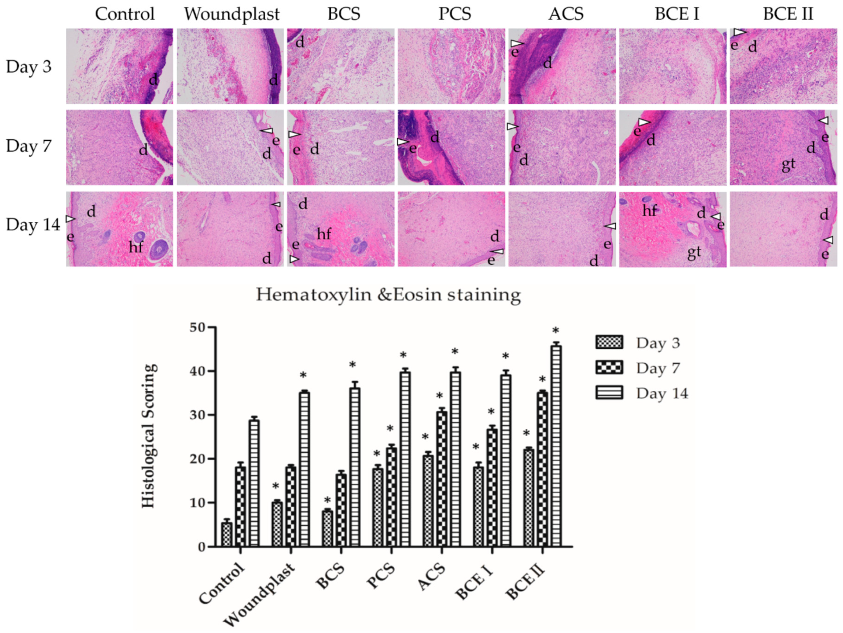 Marine Drugs | Free Full-Text | Fish Collagen Surgical