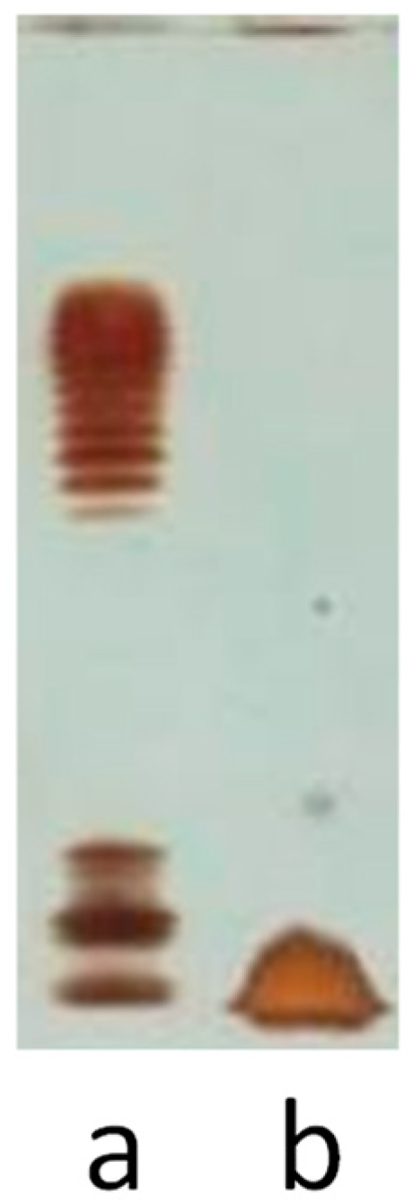 Marinedrugs 17 00034 g001