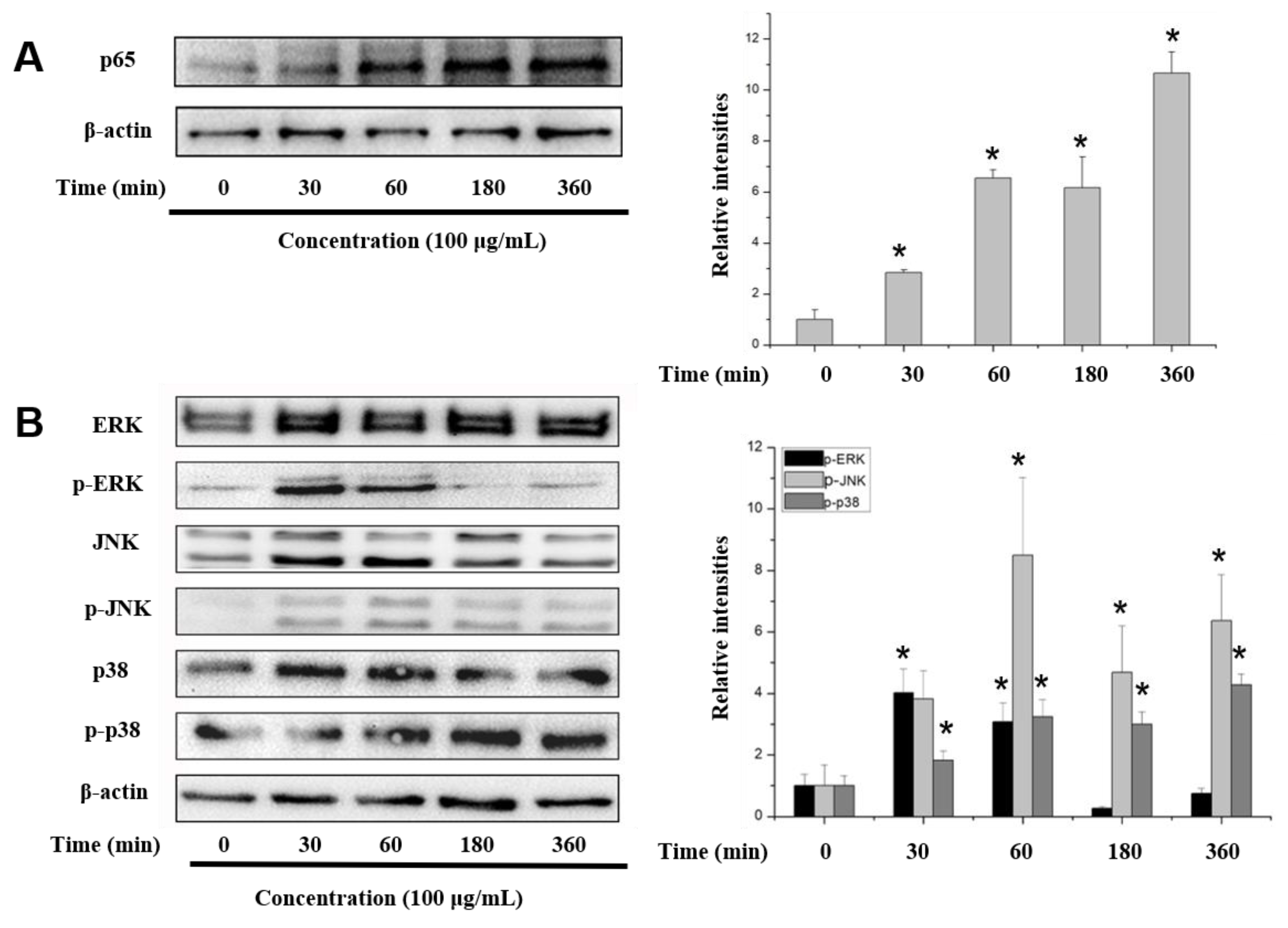 Marinedrugs 17 00036 g005a Marinedrugs 17 00036 g005a