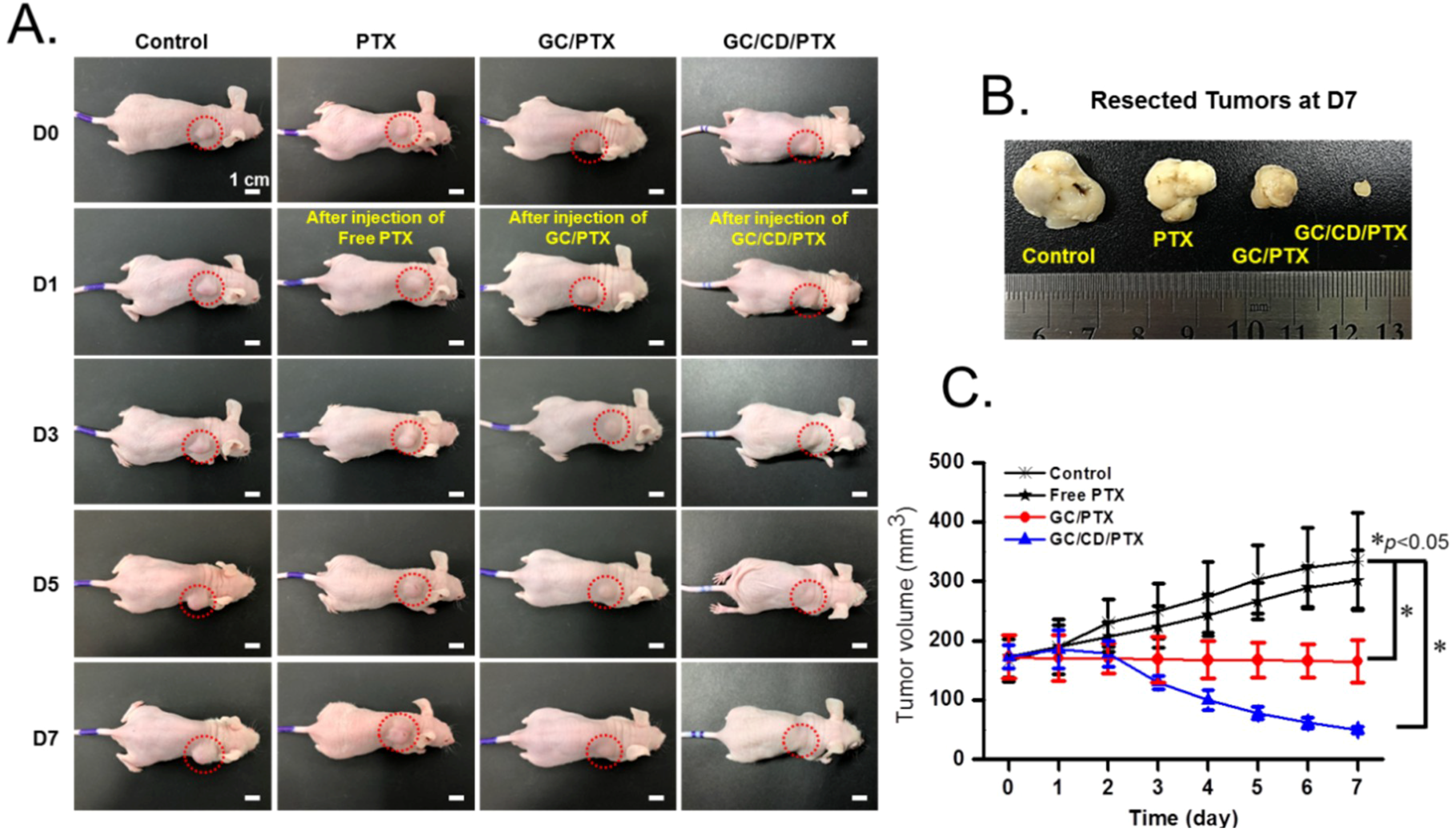 Marinedrugs 17 00041 g005