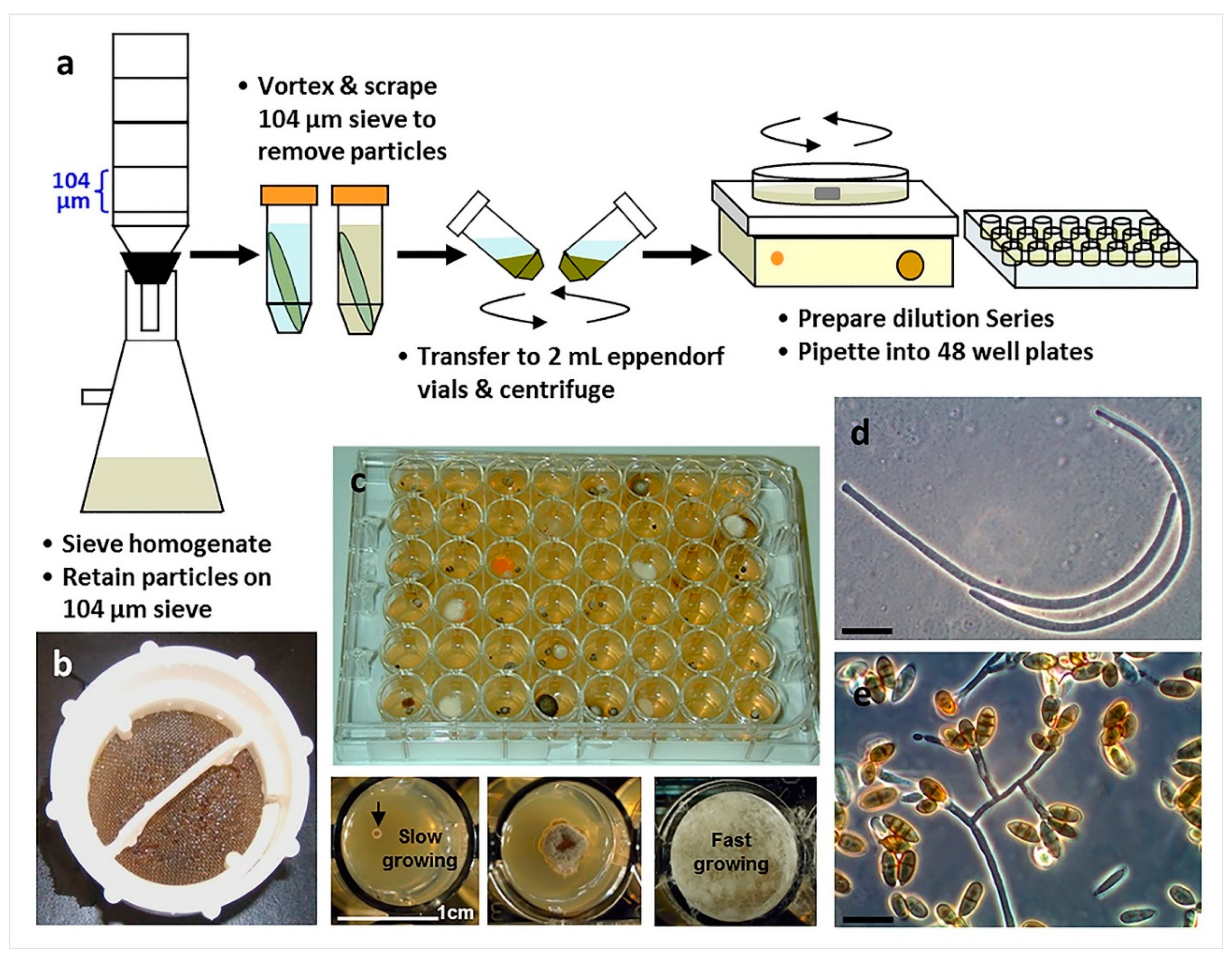 Marinedrugs 17 00042 g006