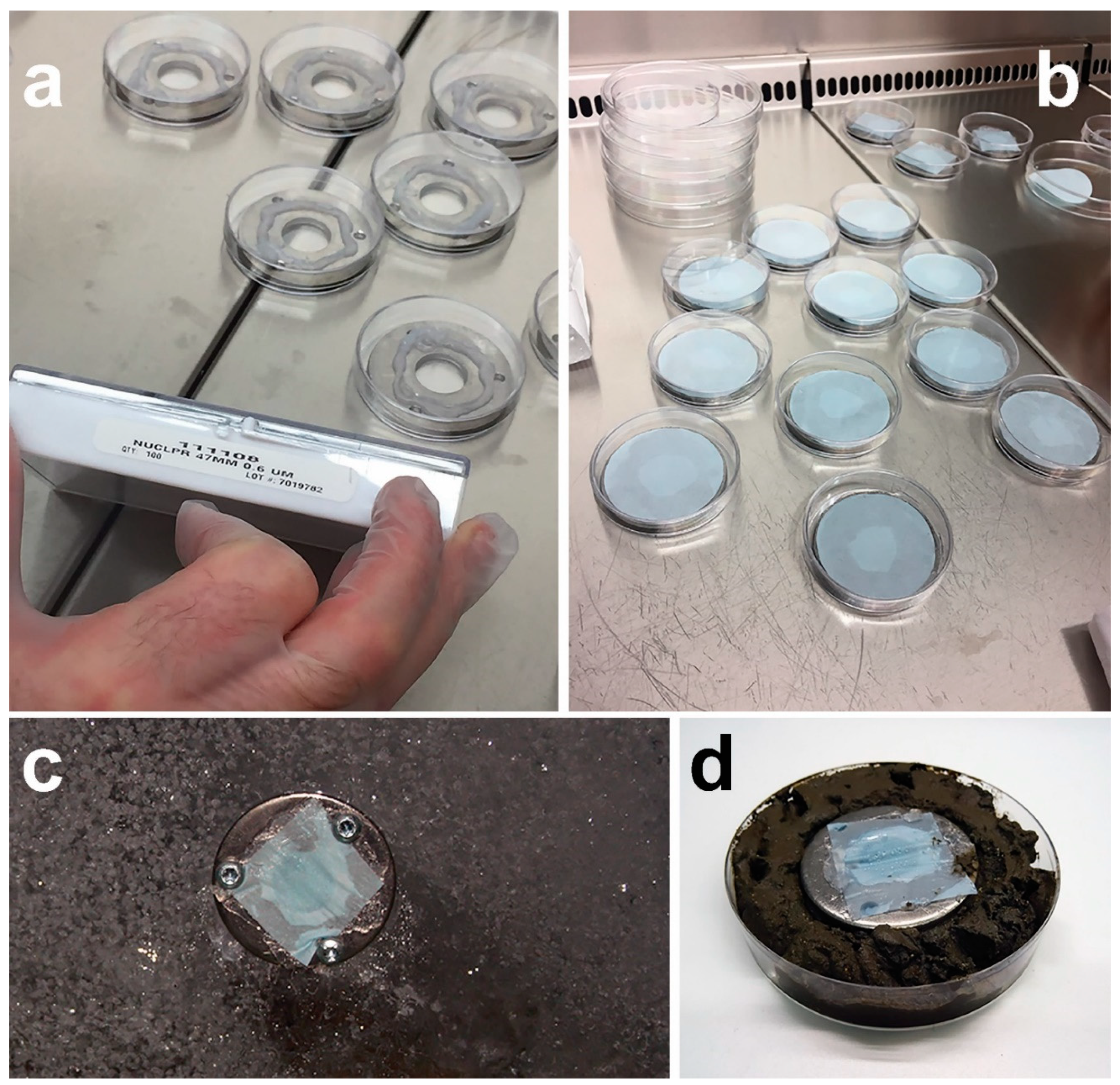 Marinedrugs 17 00042 g009