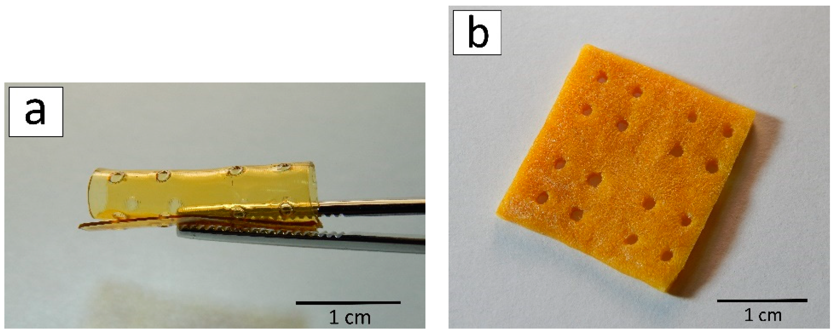 Marinedrugs 17 00048 g004 Marinedrugs 17 00048 g004