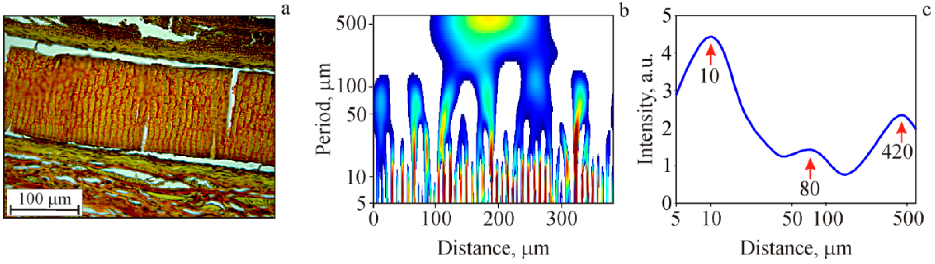 Marinedrugs 17 00048 g007 Marinedrugs 17 00048 g007