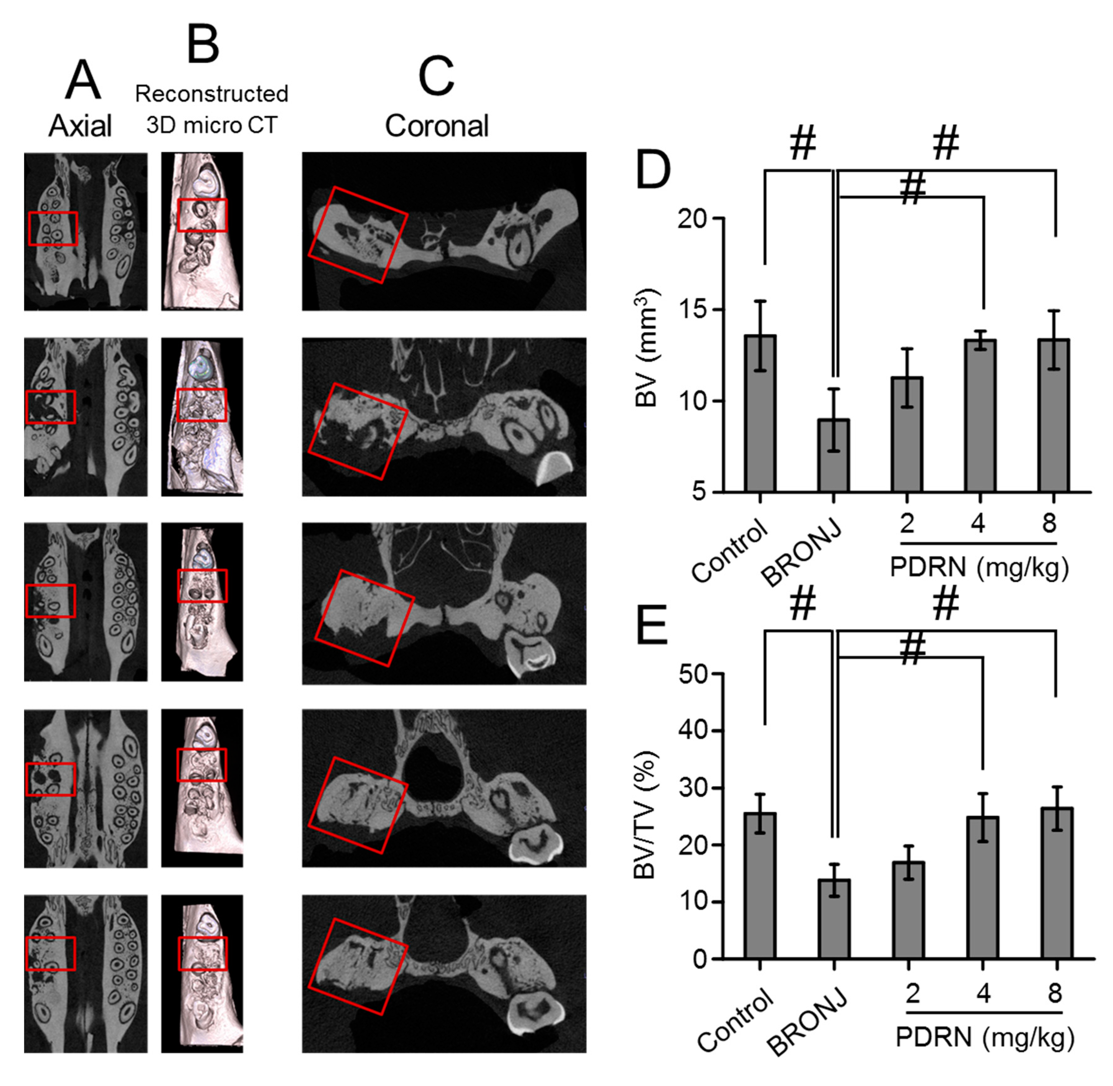 Marinedrugs 17 00051 g007