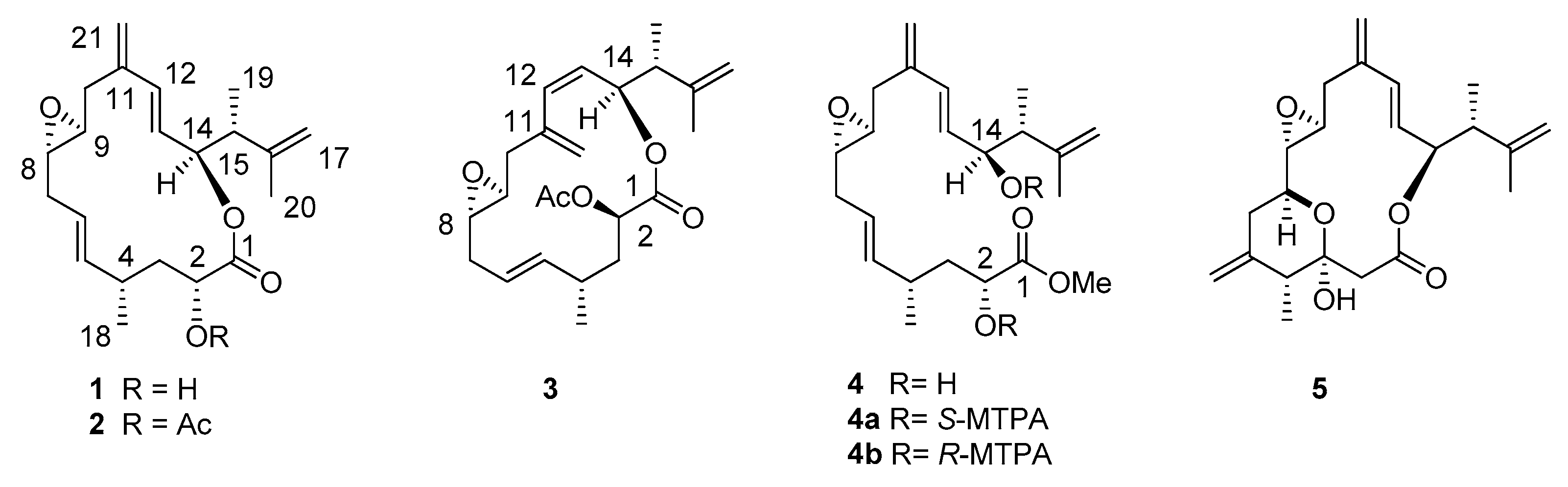 Marinedrugs 17 00058 sch001